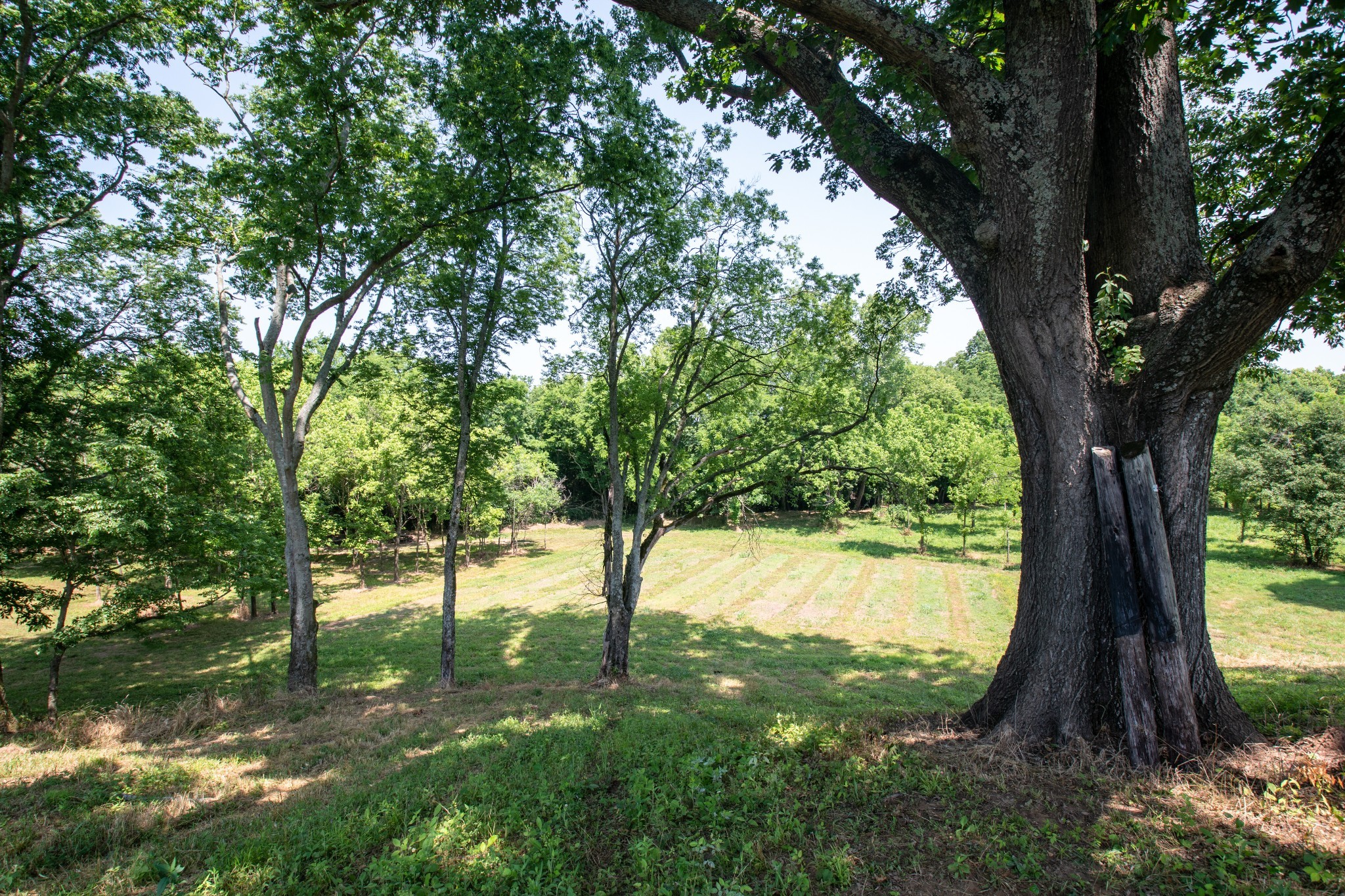 1129 Mcewen Ln Property Photo 21