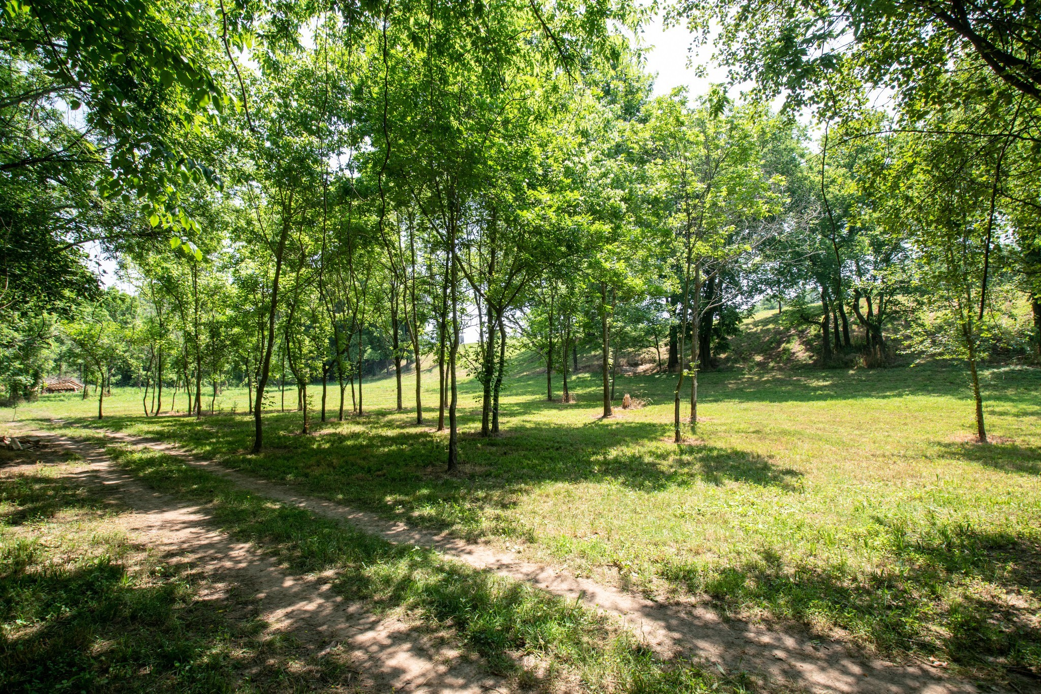 1129 Mcewen Ln Property Photo 22