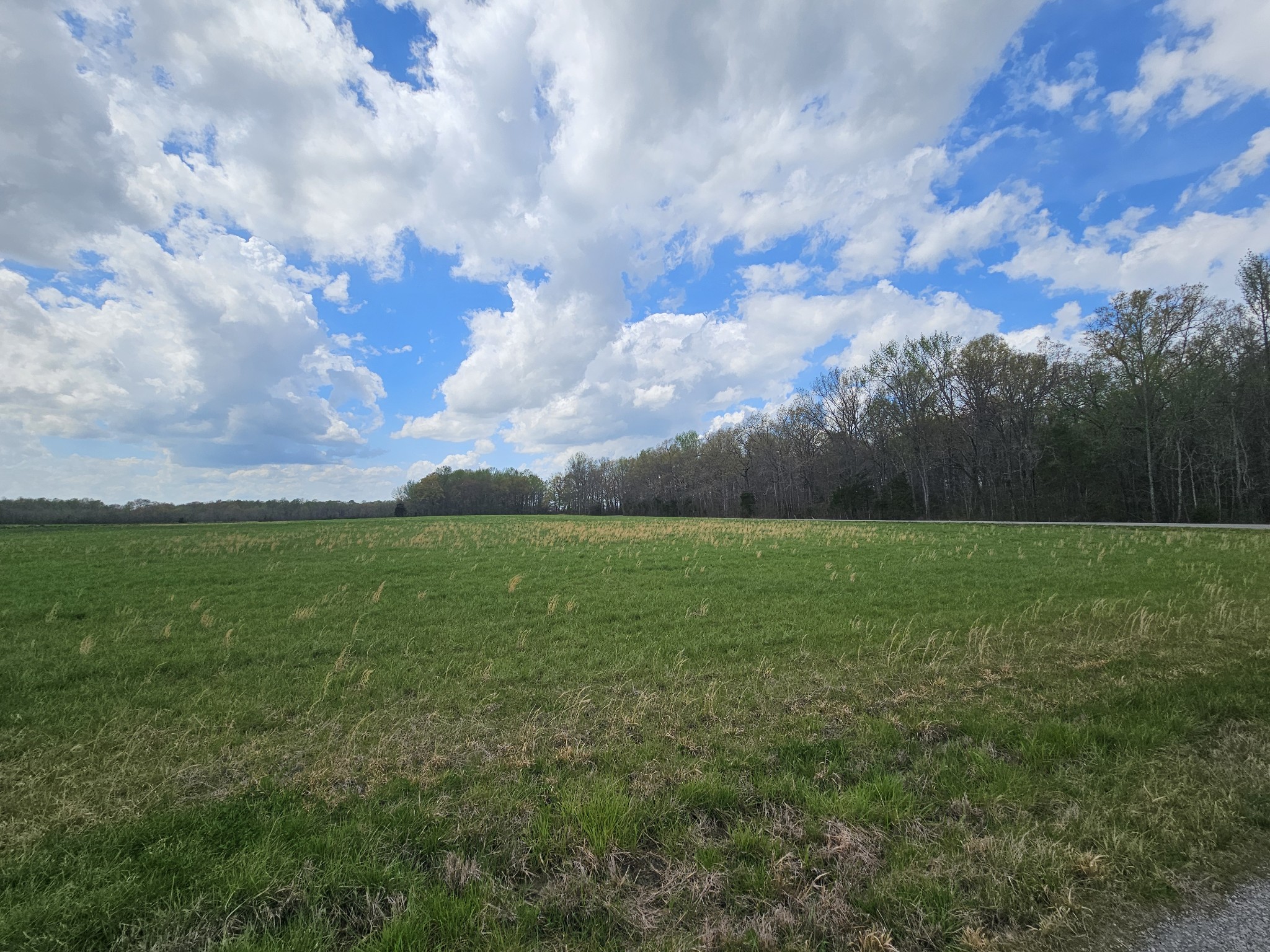 Bells Acres Real Estate Listings Main Image