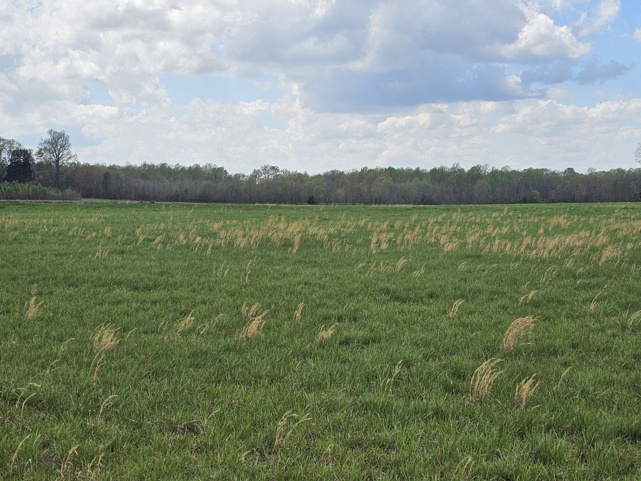 0 Mcafee Property Photo 2