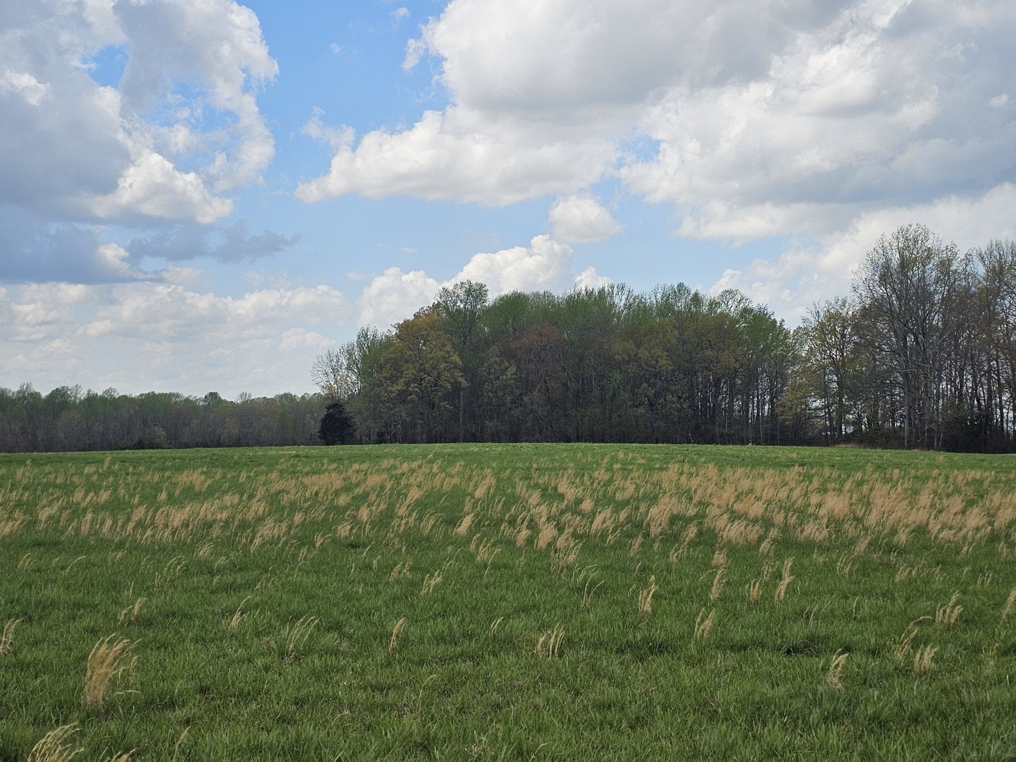 0 Mcafee Property Photo 3