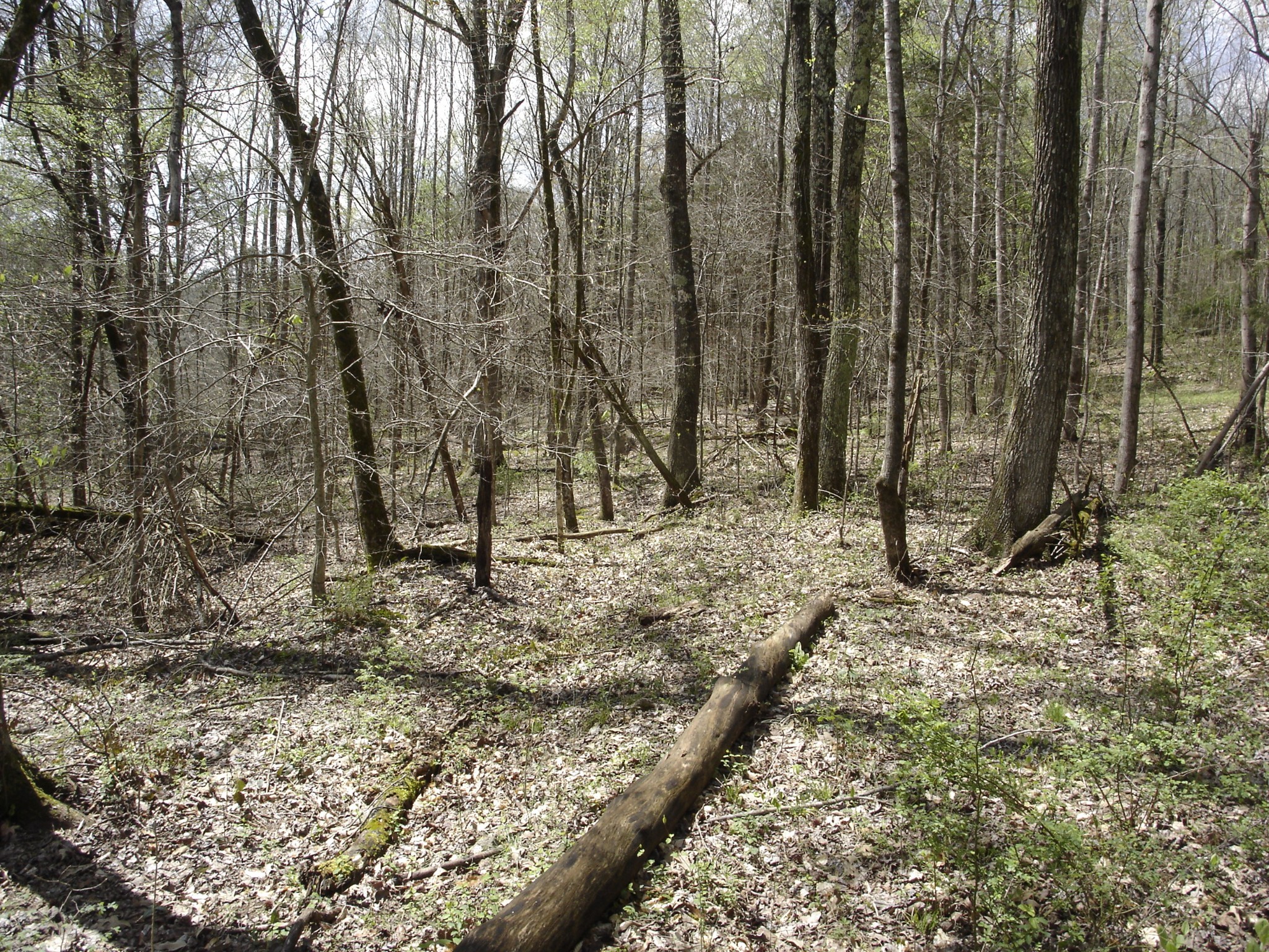 1044 Washington Dr Property Photo 2