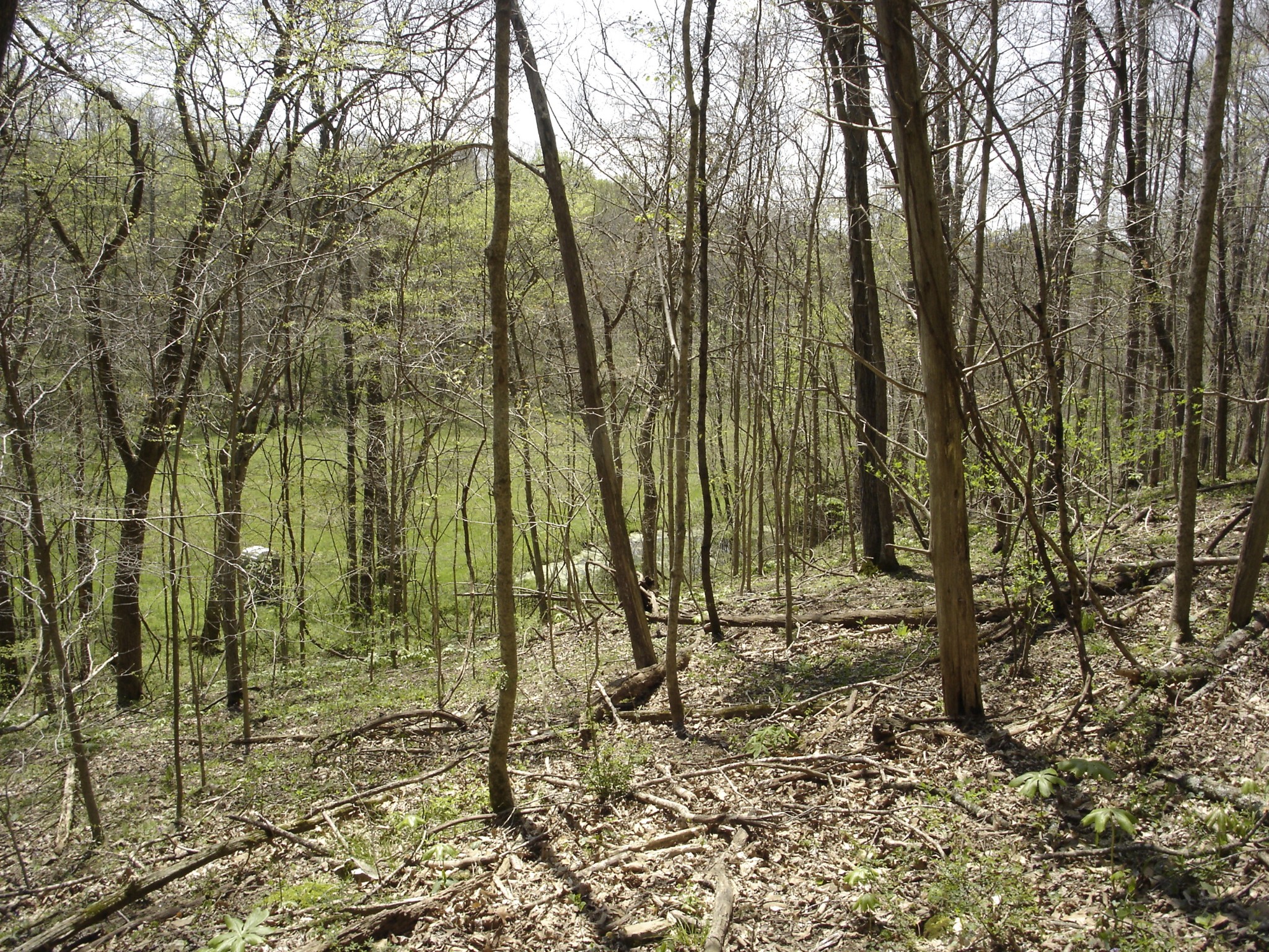 1044 Washington Dr Property Photo 10