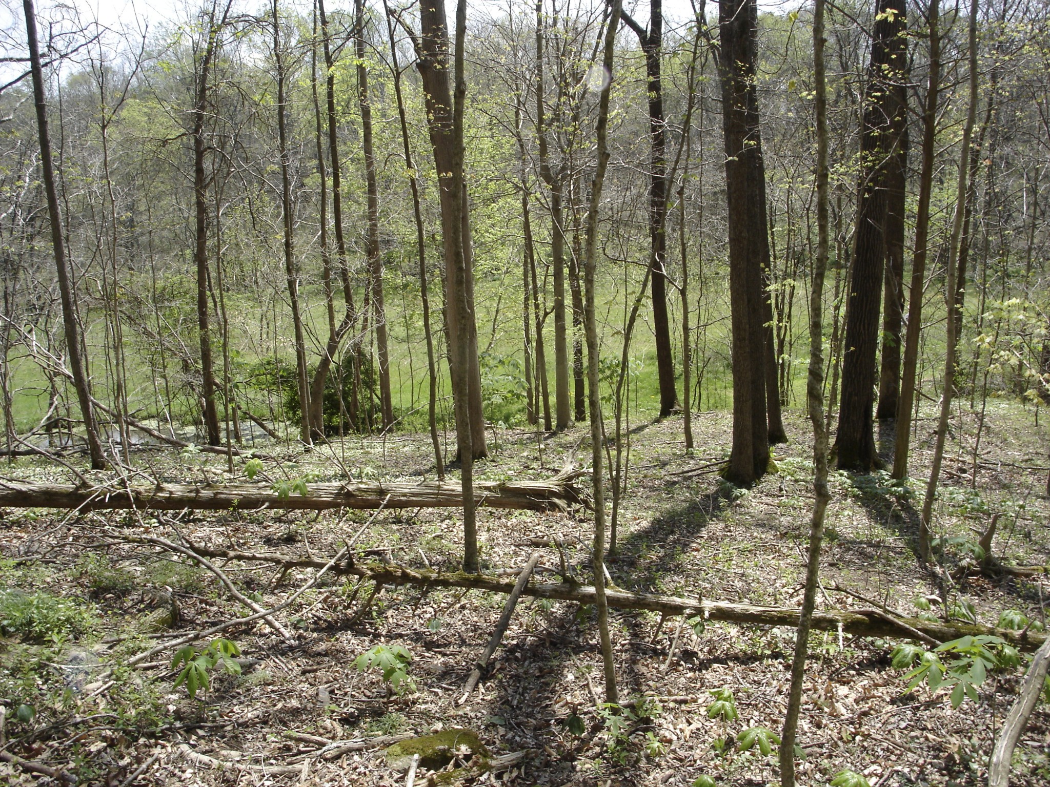 1044 Washington Dr Property Photo 12