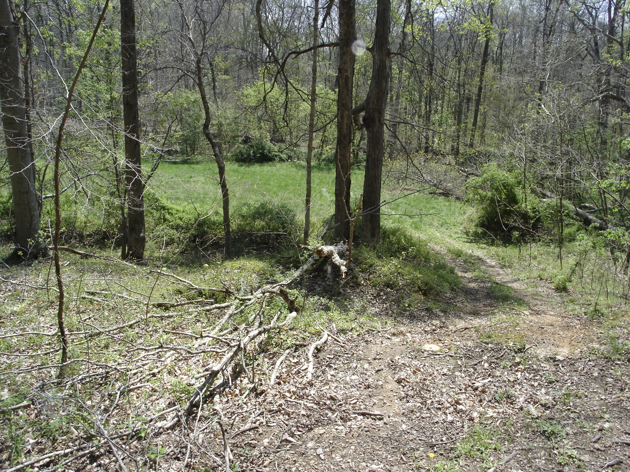 1044 Washington Dr Property Photo 14