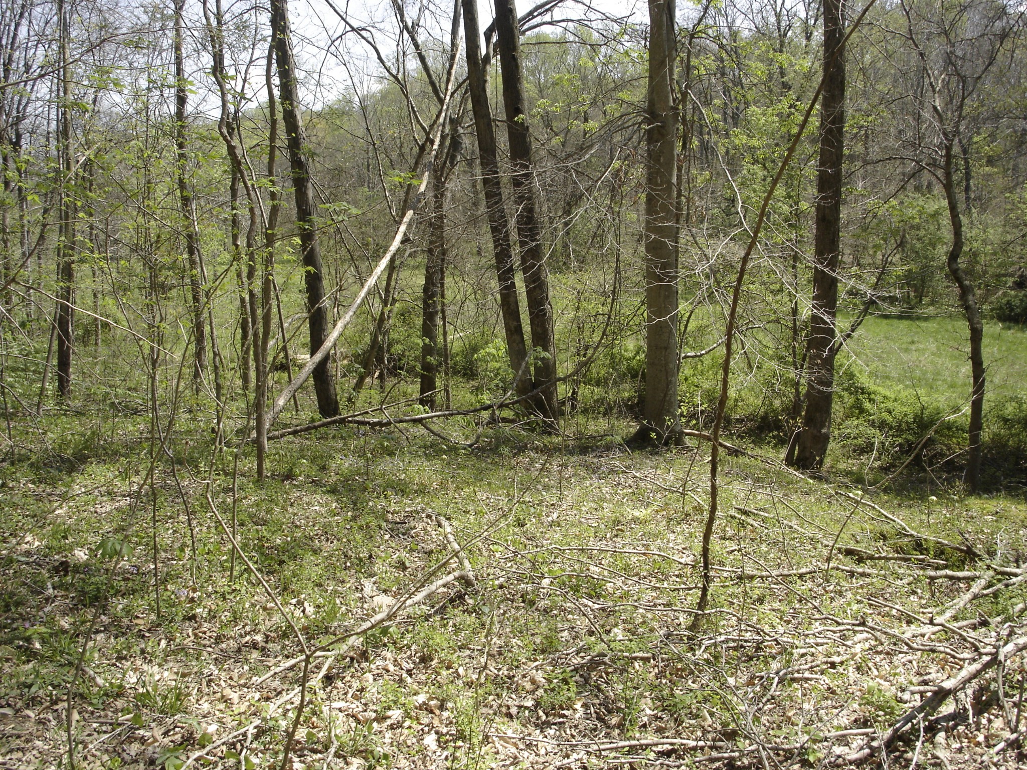 1044 Washington Dr Property Photo 15