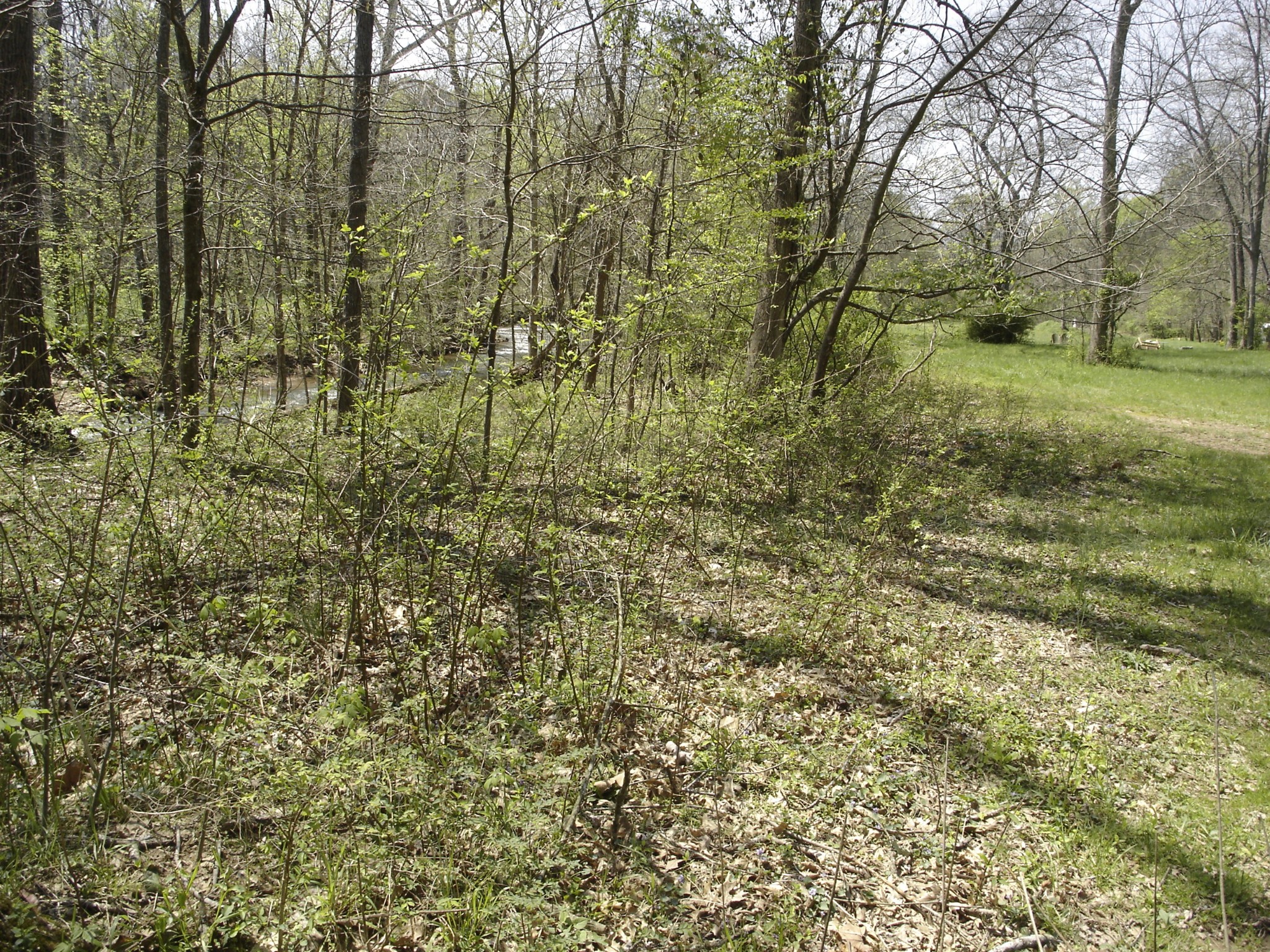 1044 Washington Dr Property Photo 23