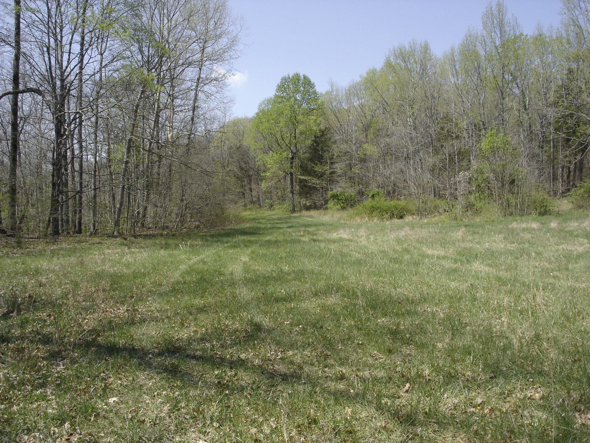 1044 Washington Dr Property Photo 25