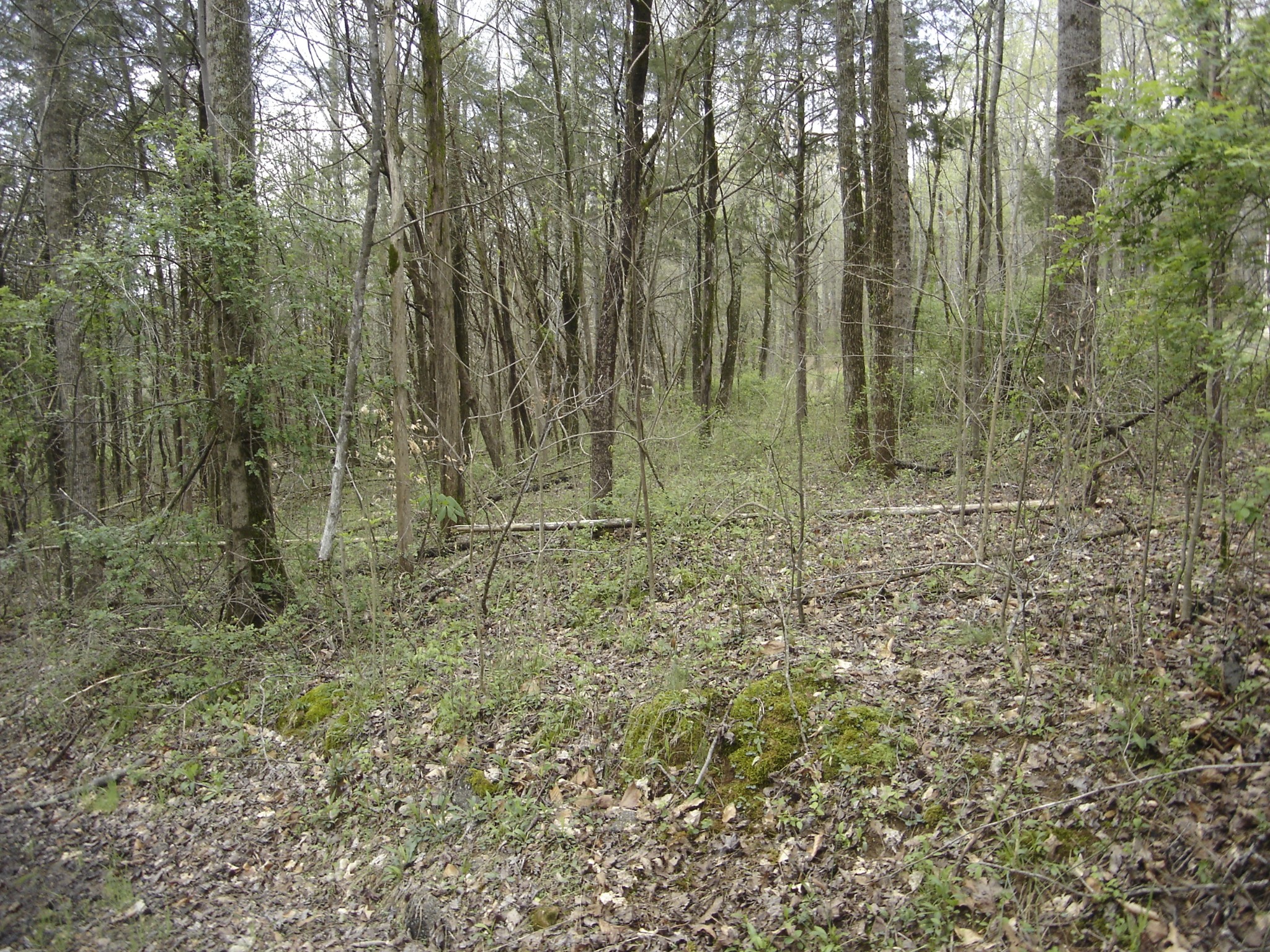 1044 Washington Dr Property Photo 33