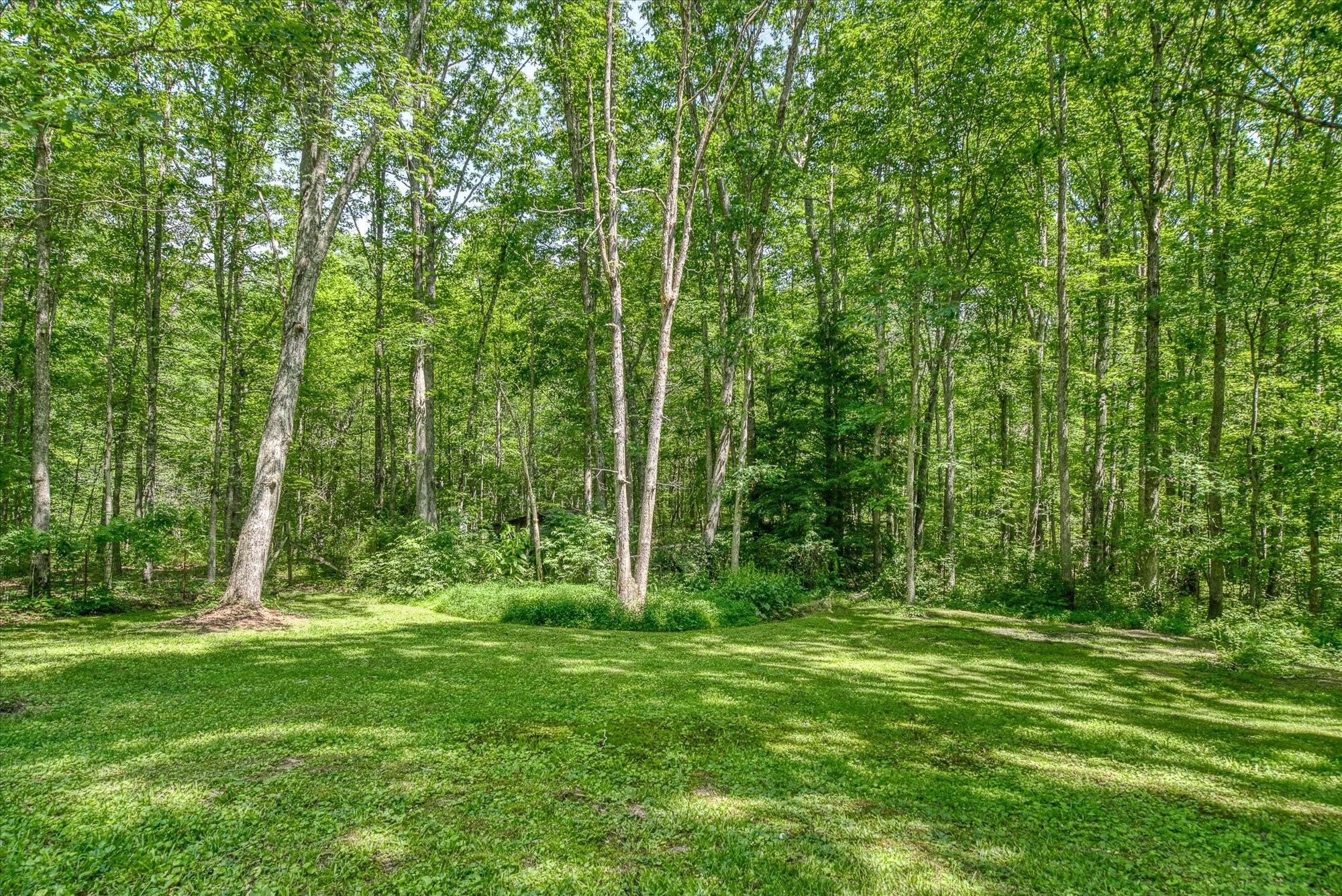 3115 Coon Hunter Lodge Rd Property Photo 7
