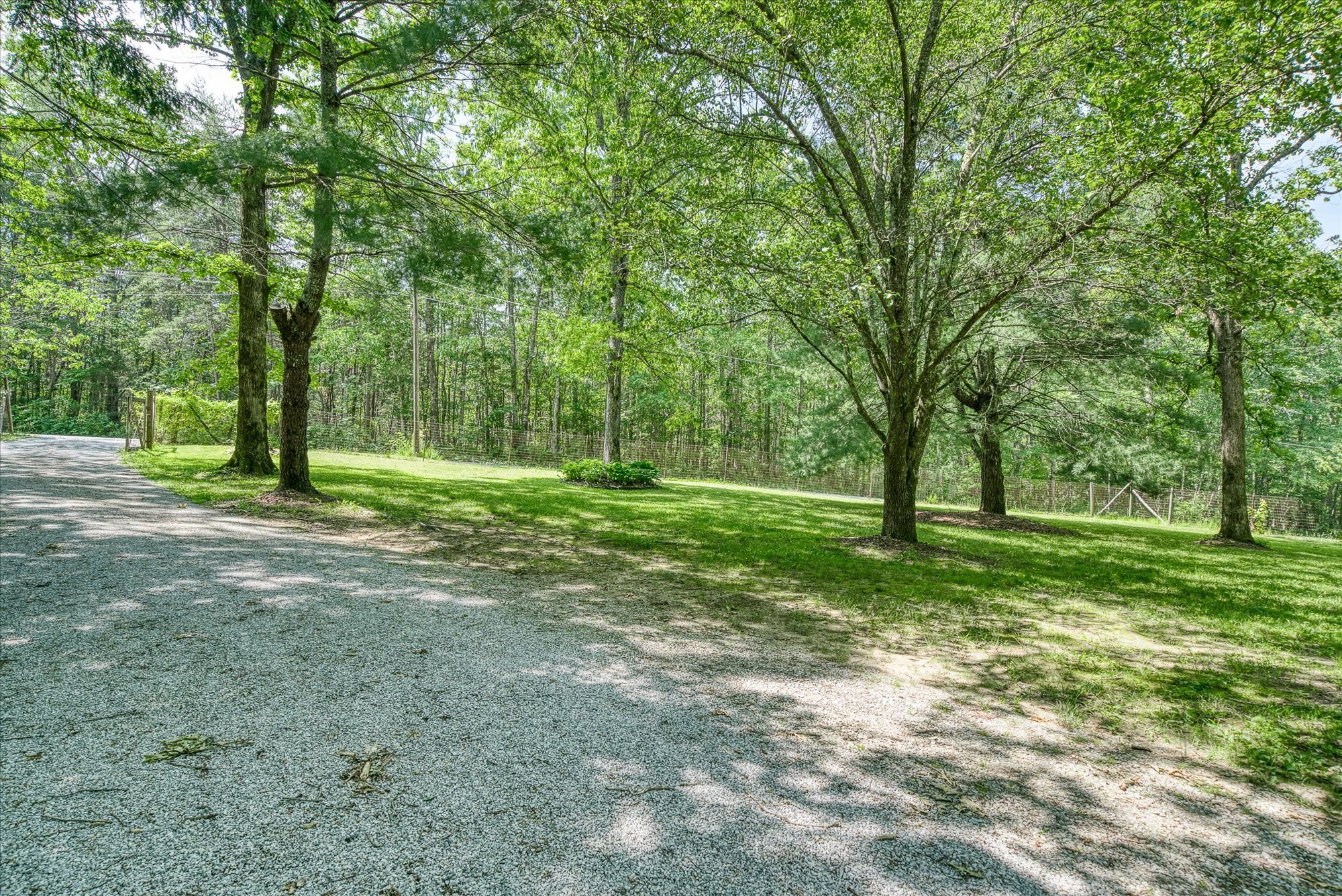 3115 Coon Hunter Lodge Rd Property Photo 32