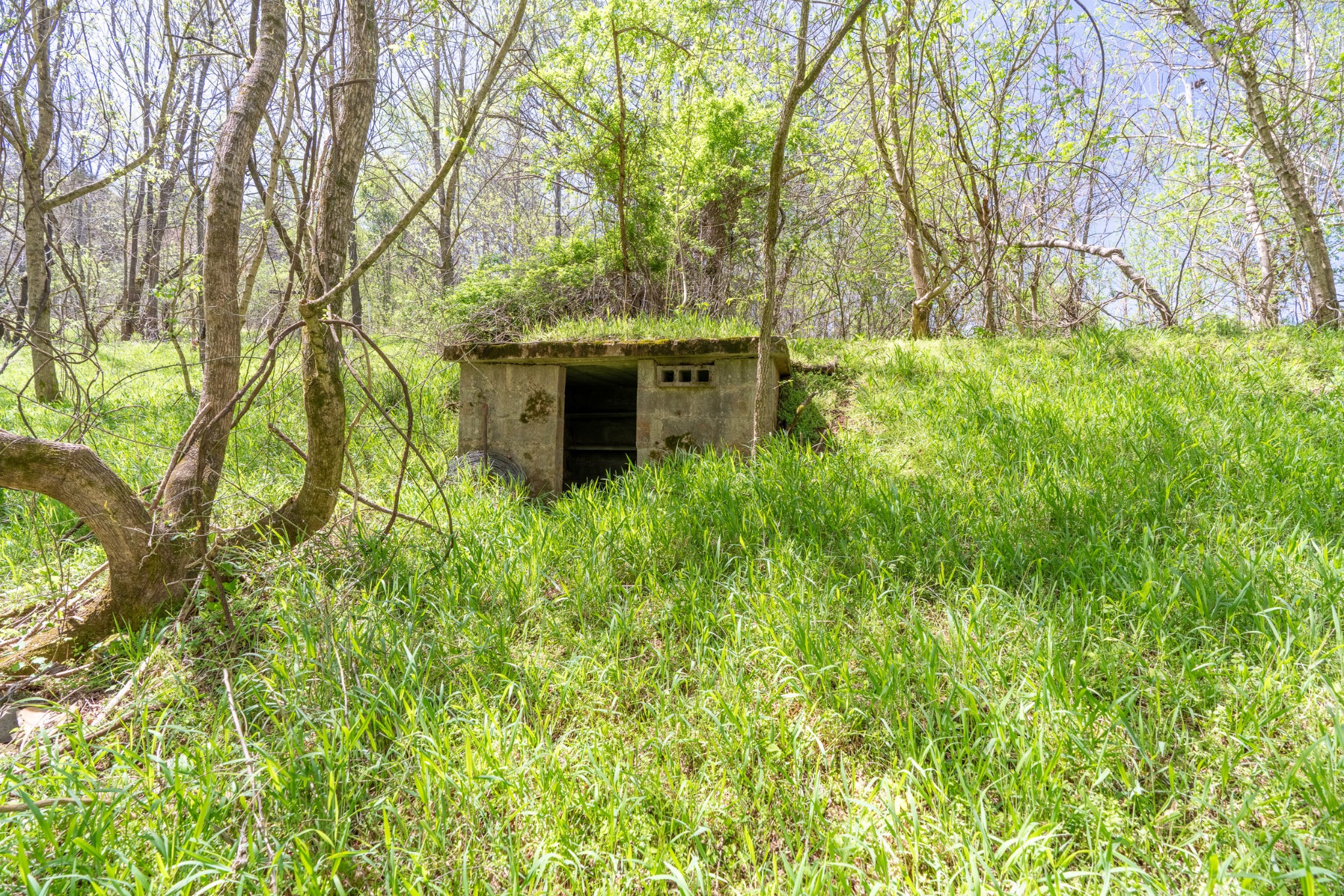2212 Mack Floyd Rd Property Photo 20