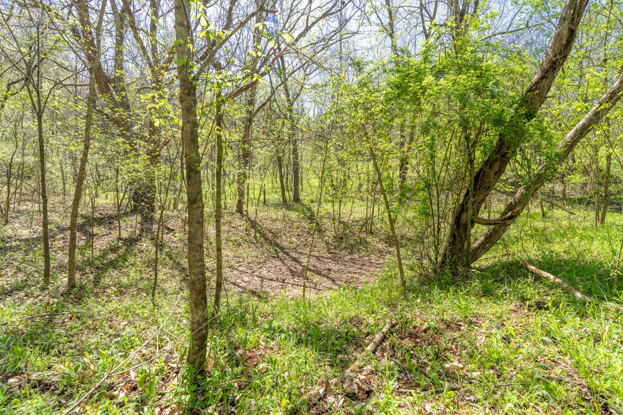 2212 Mack Floyd Rd Property Photo 22