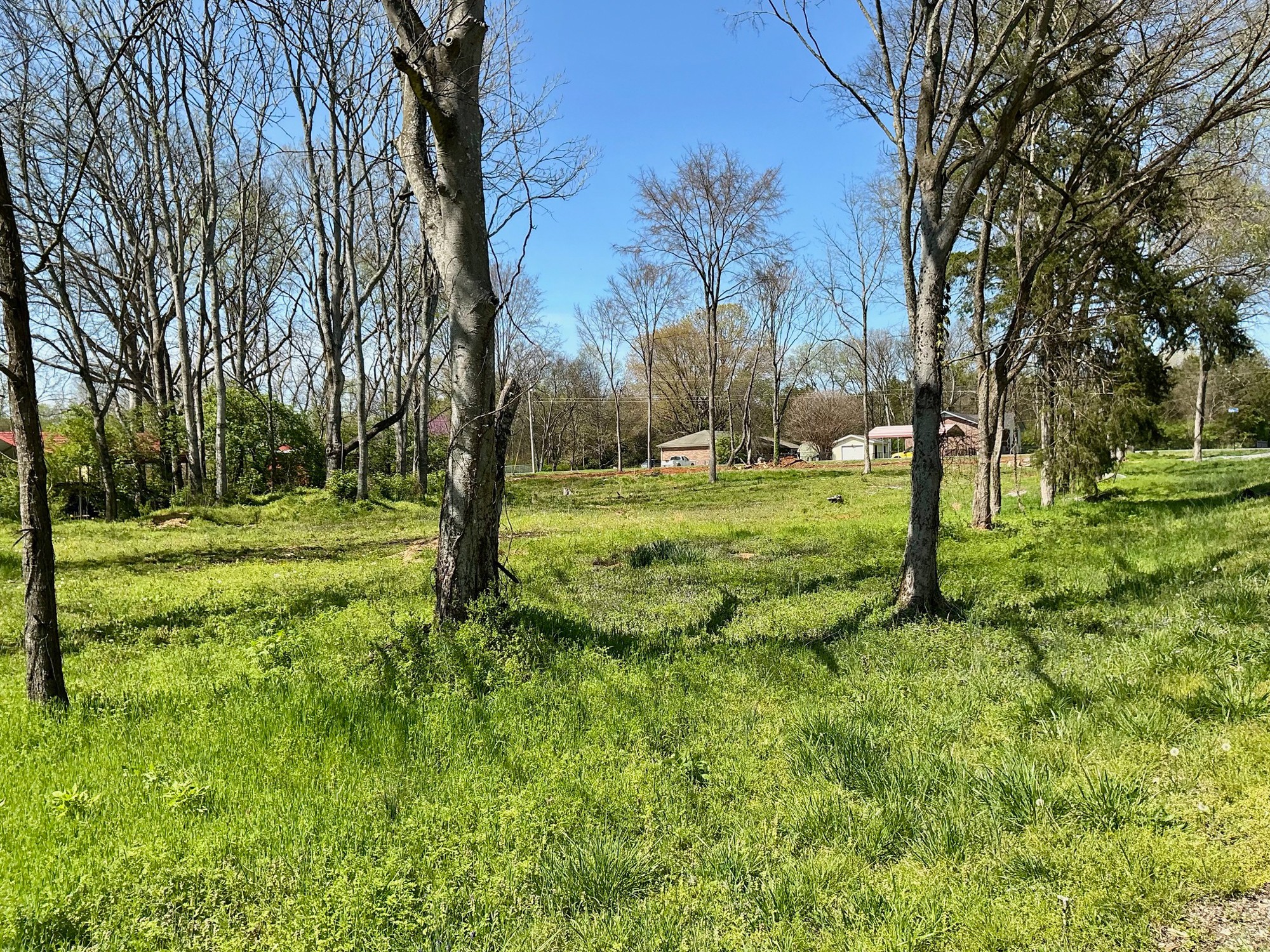702 Buford St Property Photo 3