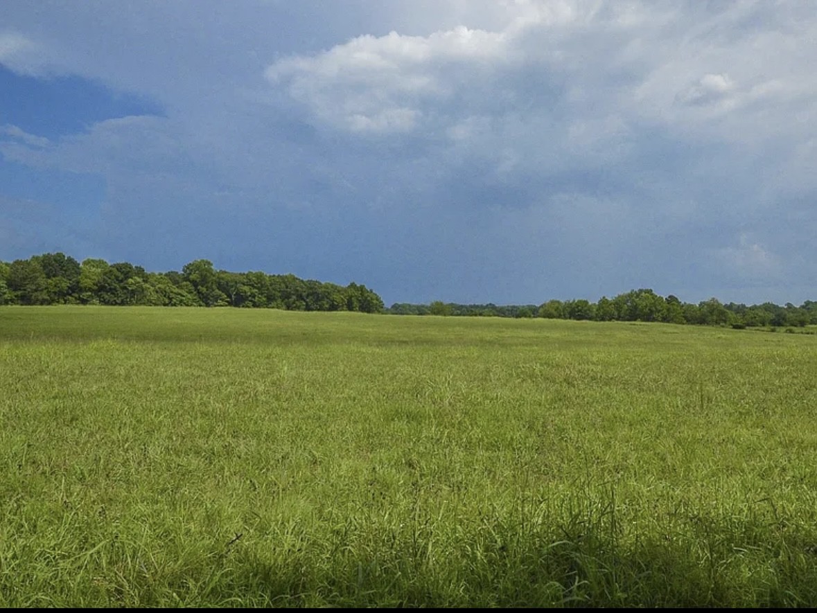 2901 Hurricane Creek Rd Property Photo 10