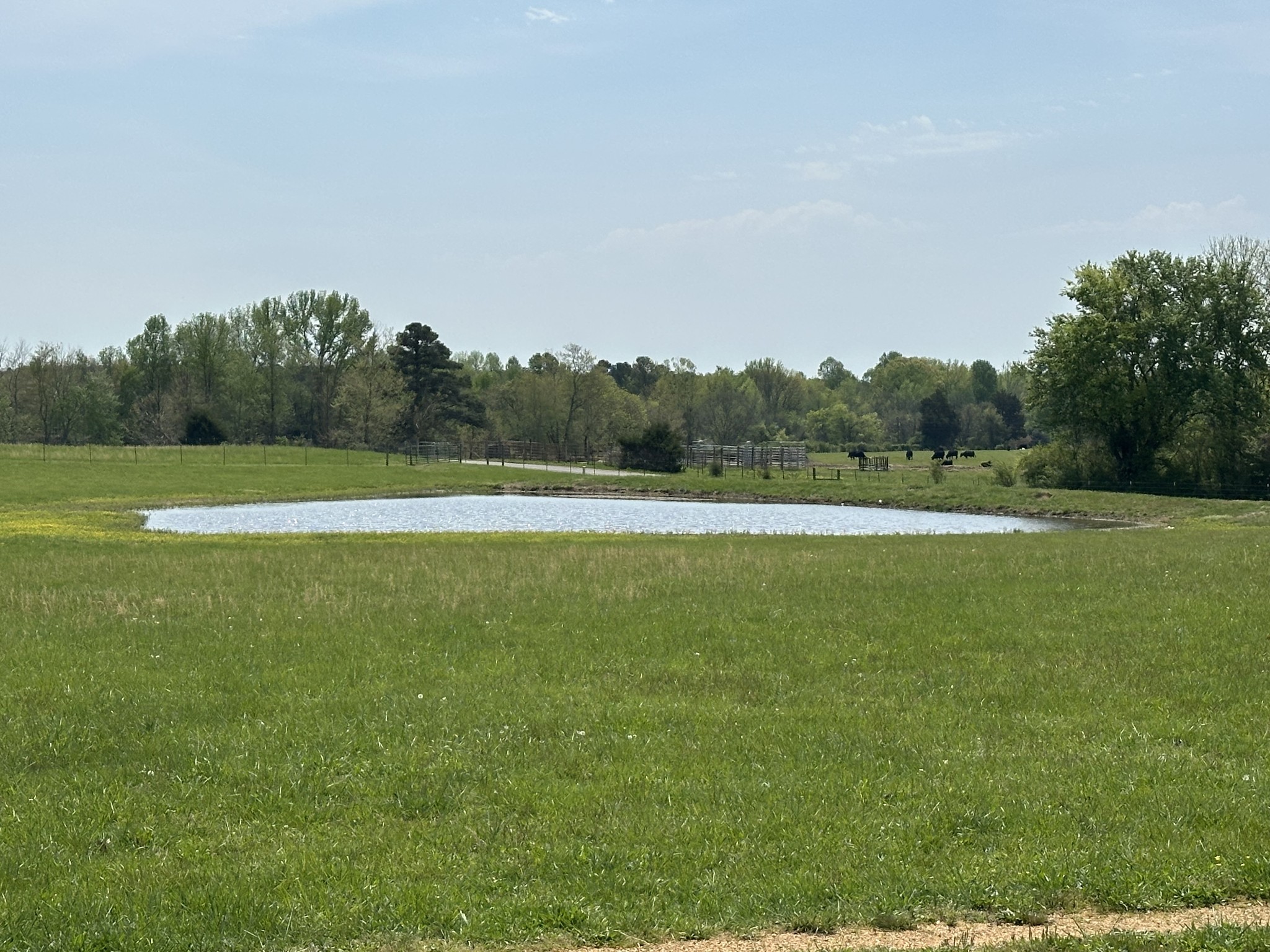 2901 Hurricane Creek Rd Property Photo 26