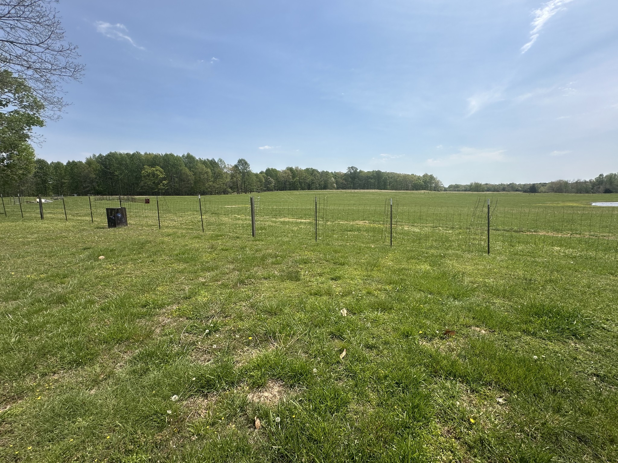 2901 Hurricane Creek Rd Property Photo 30