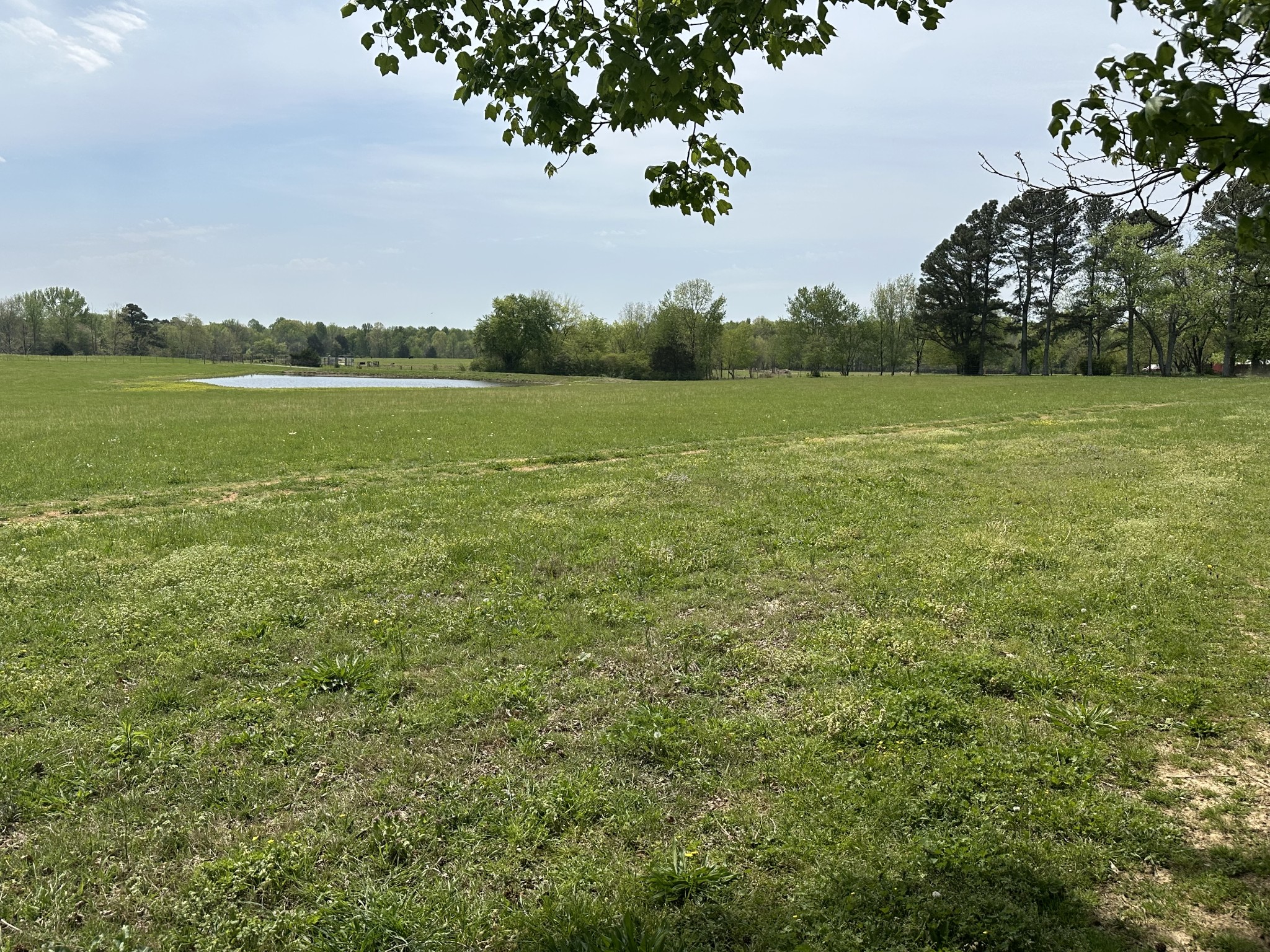 2901 Hurricane Creek Rd Property Photo 35