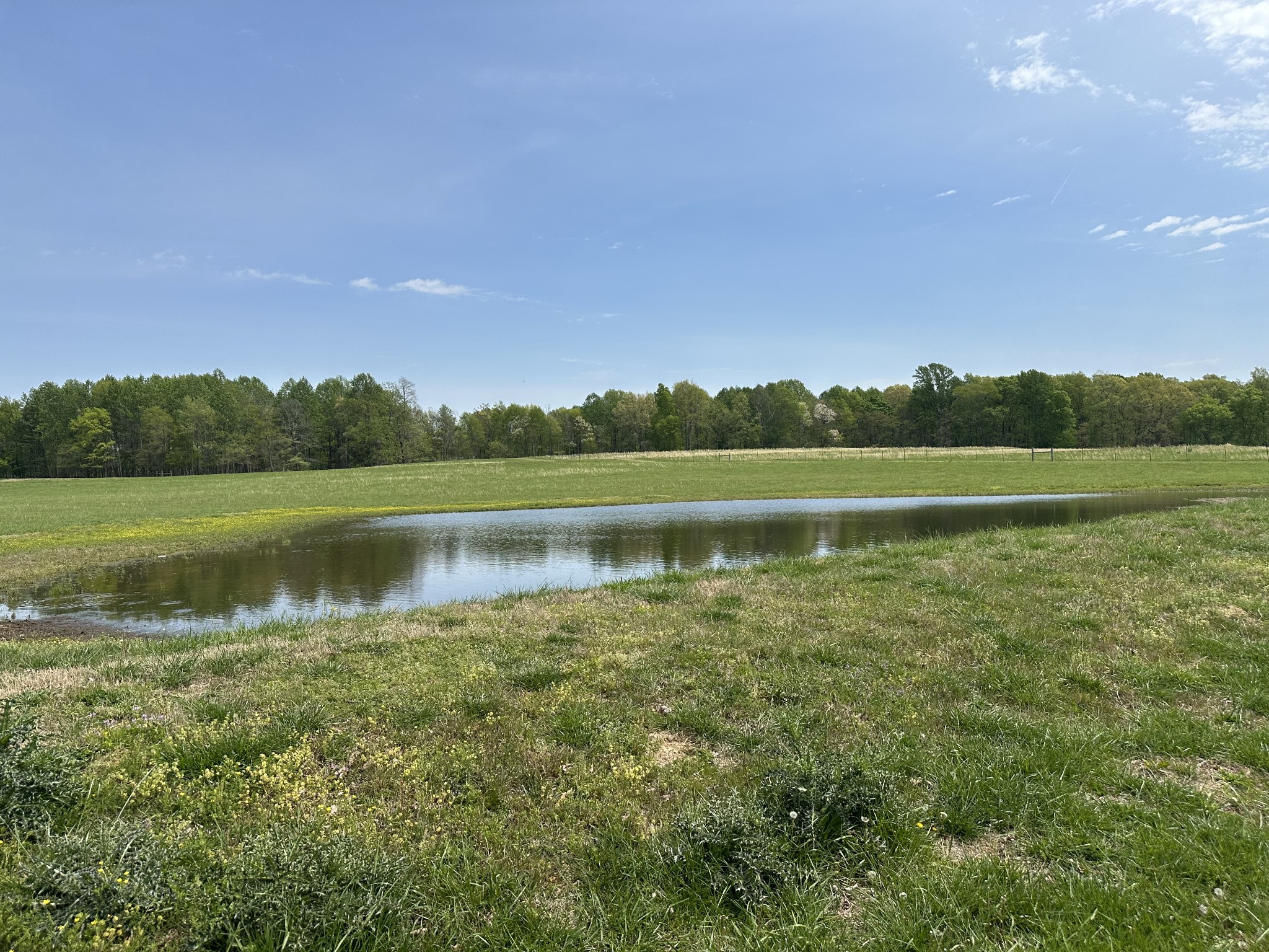 2901 Hurricane Creek Rd Property Photo 48