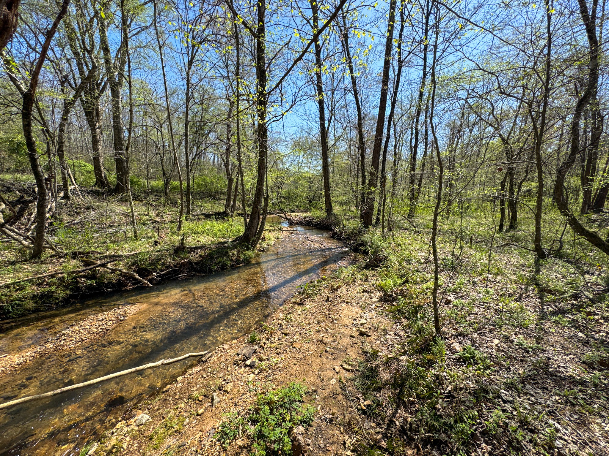 3850 Grandaddy Rd Property Photo 3
