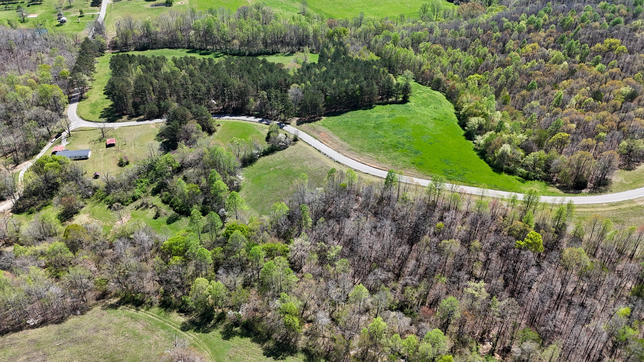 3850 Grandaddy Rd Property Photo 4