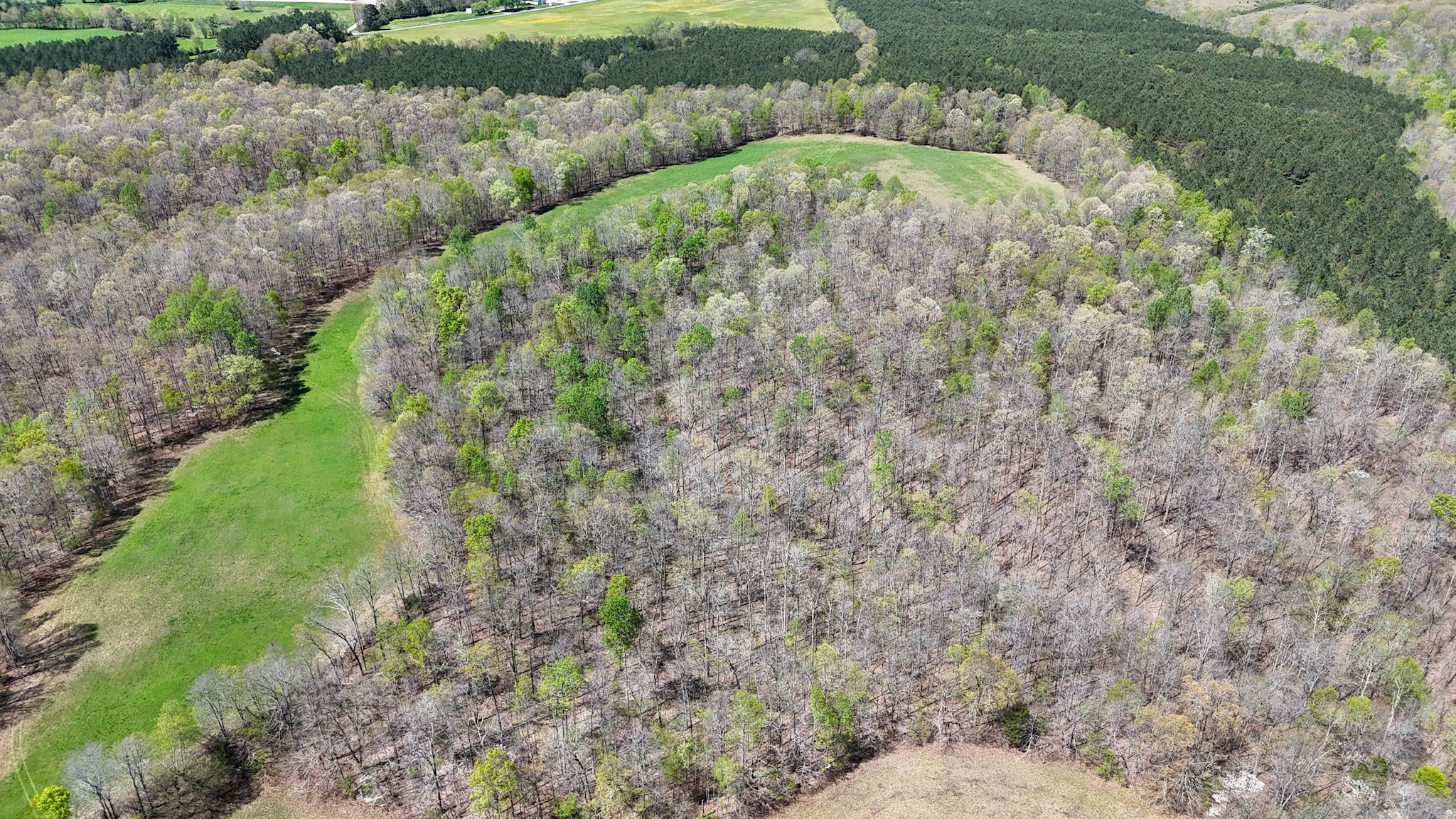 3850 Grandaddy Rd Property Photo 8