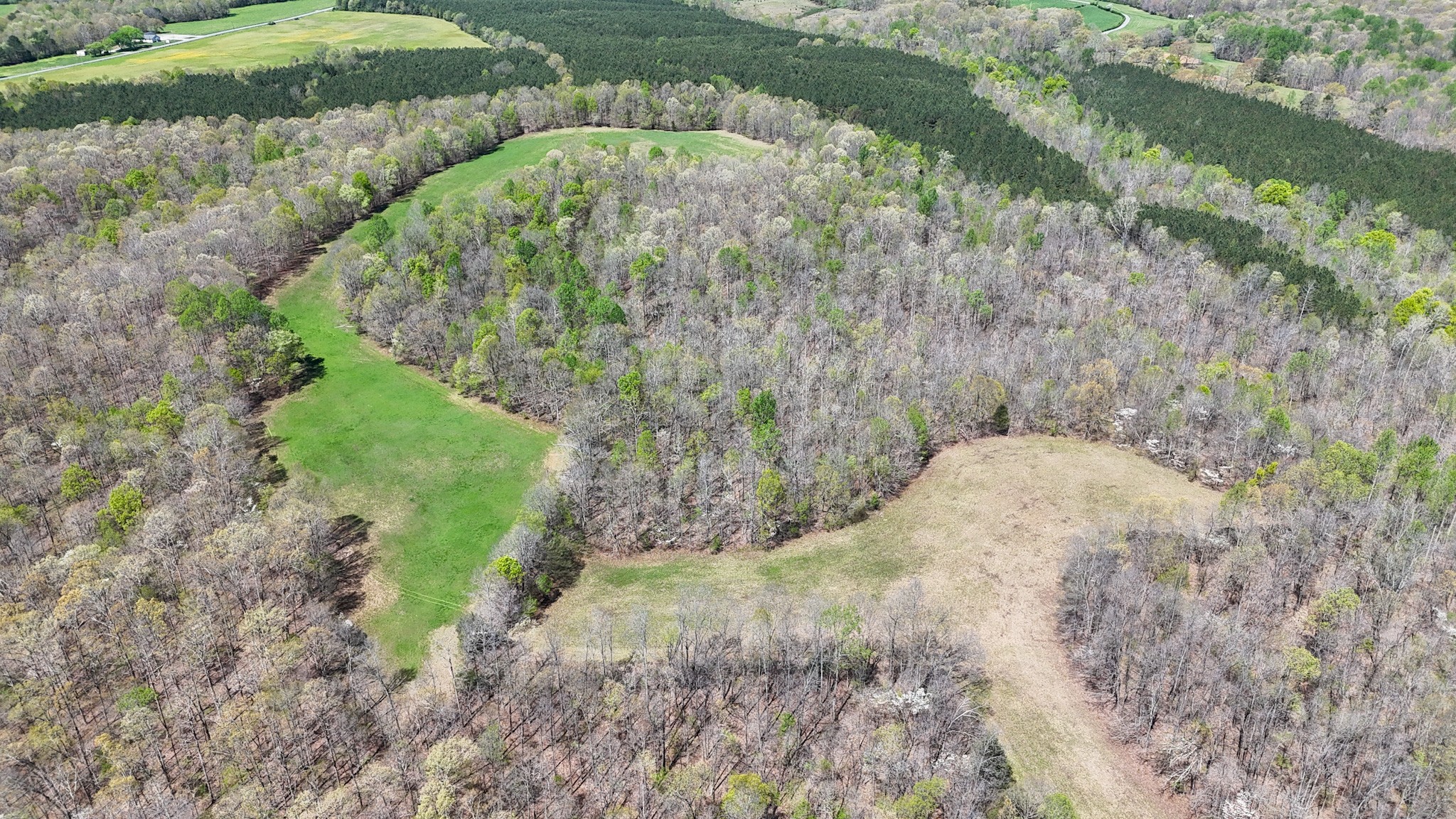 3850 Grandaddy Rd Property Photo 9
