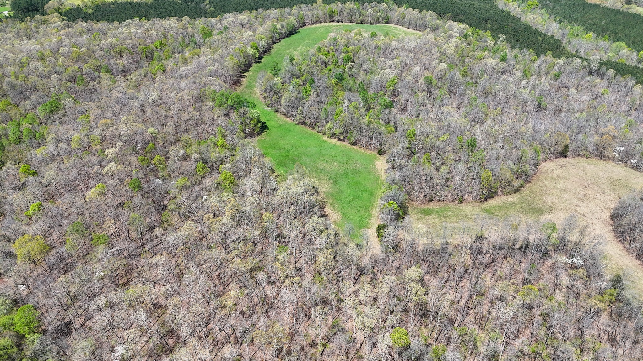 3850 Grandaddy Rd Property Photo 10