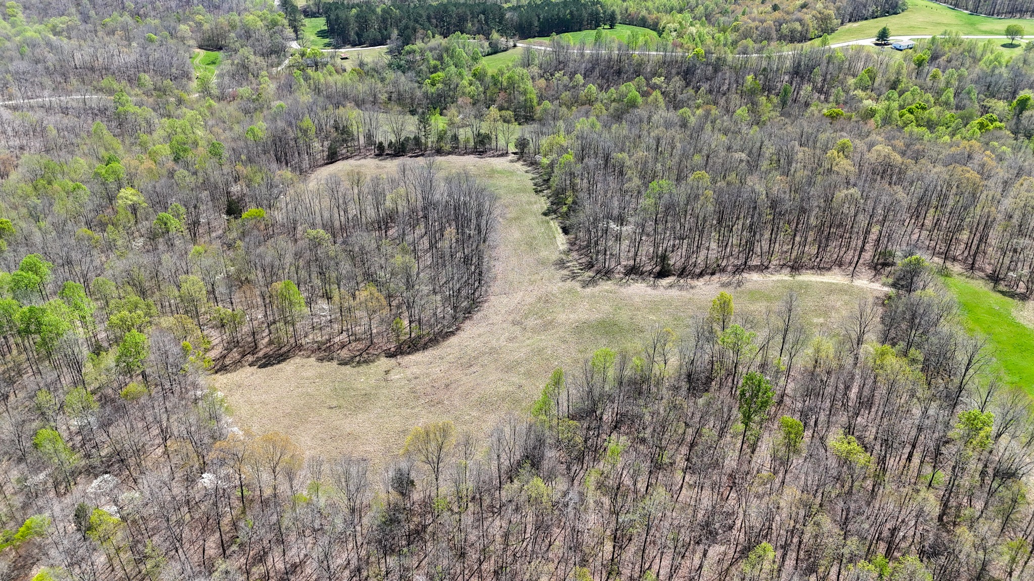 3850 Grandaddy Rd Property Photo 11