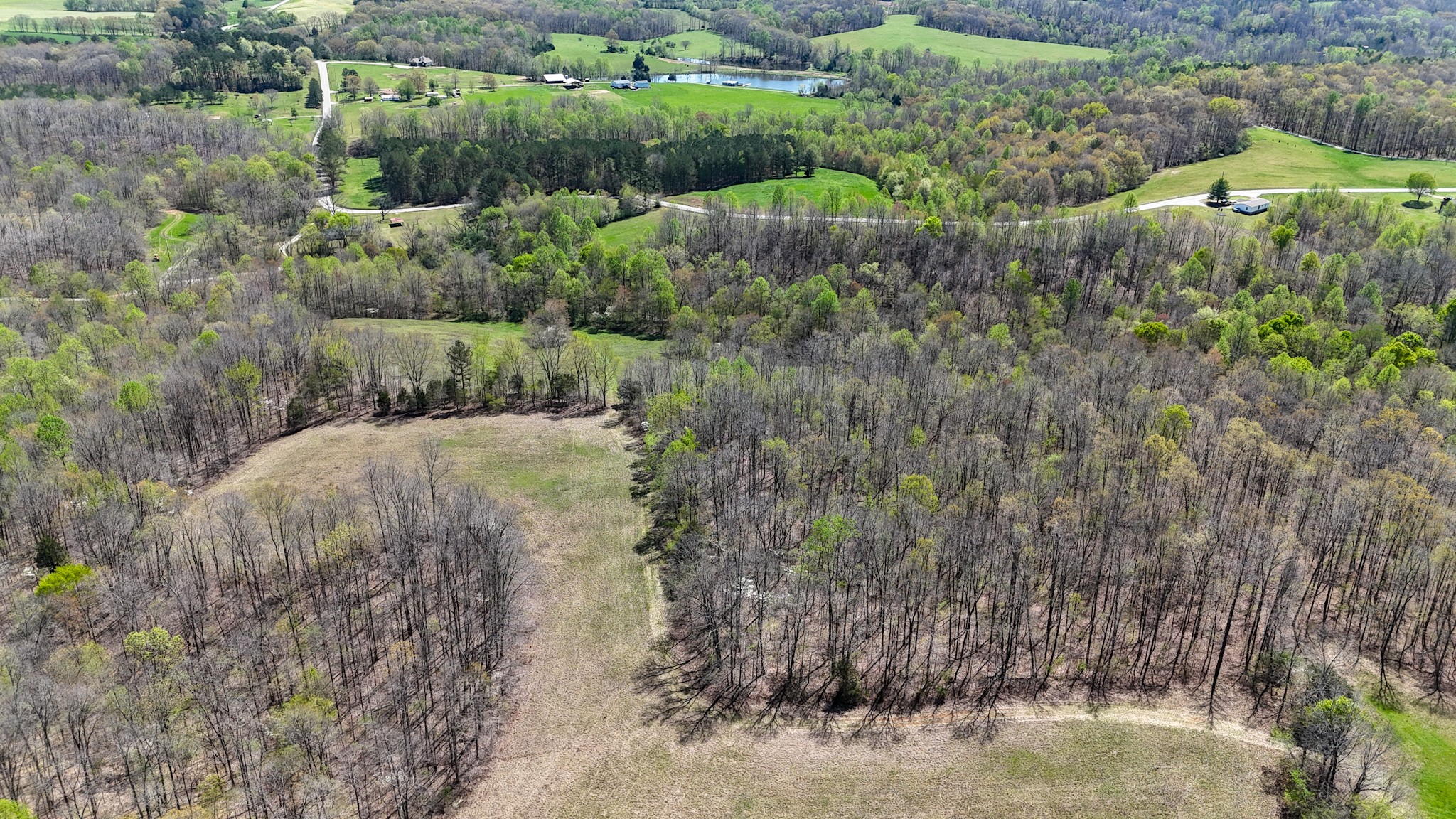 3850 Grandaddy Rd Property Photo 12