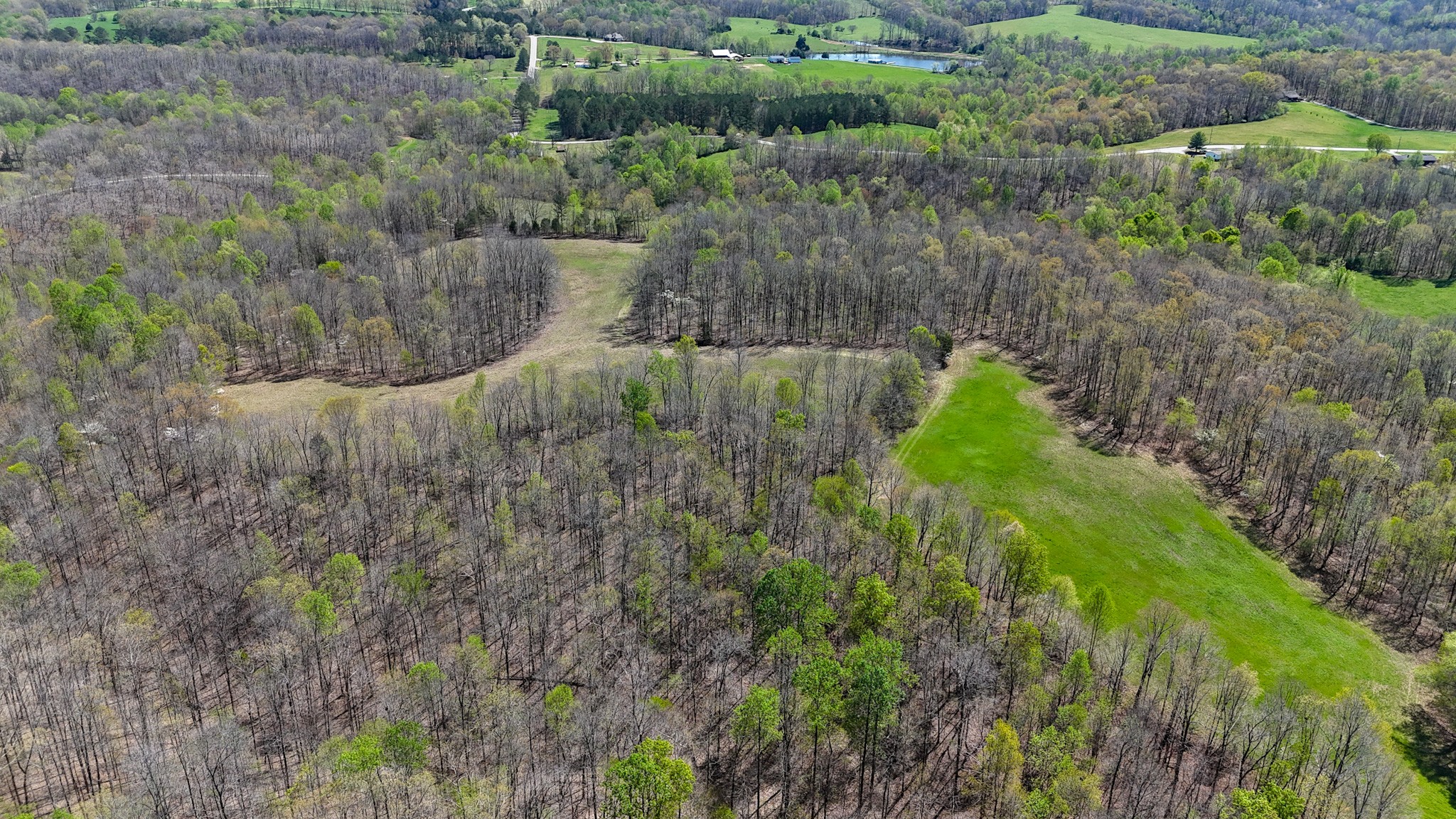 3850 Grandaddy Rd Property Photo 13