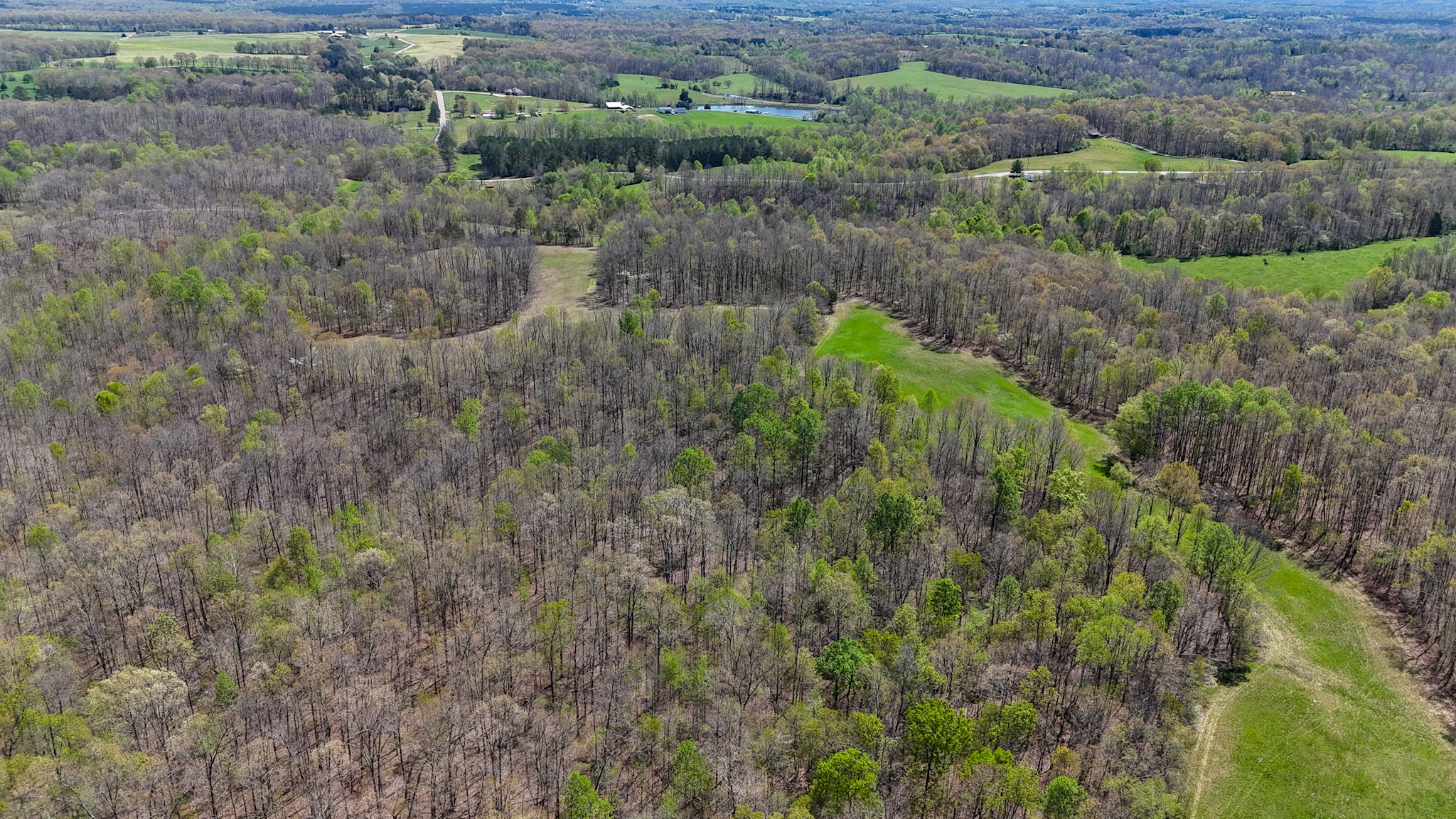 3850 Grandaddy Rd Property Photo 14