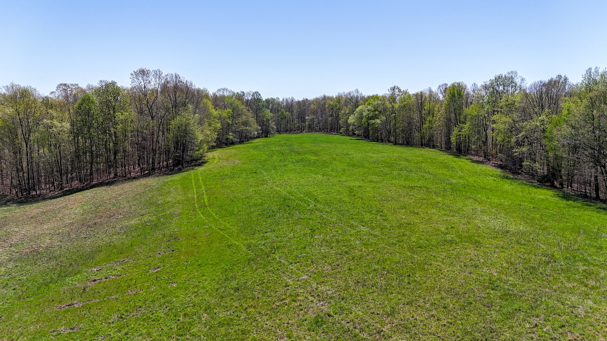 3850 Grandaddy Rd Property Photo 15