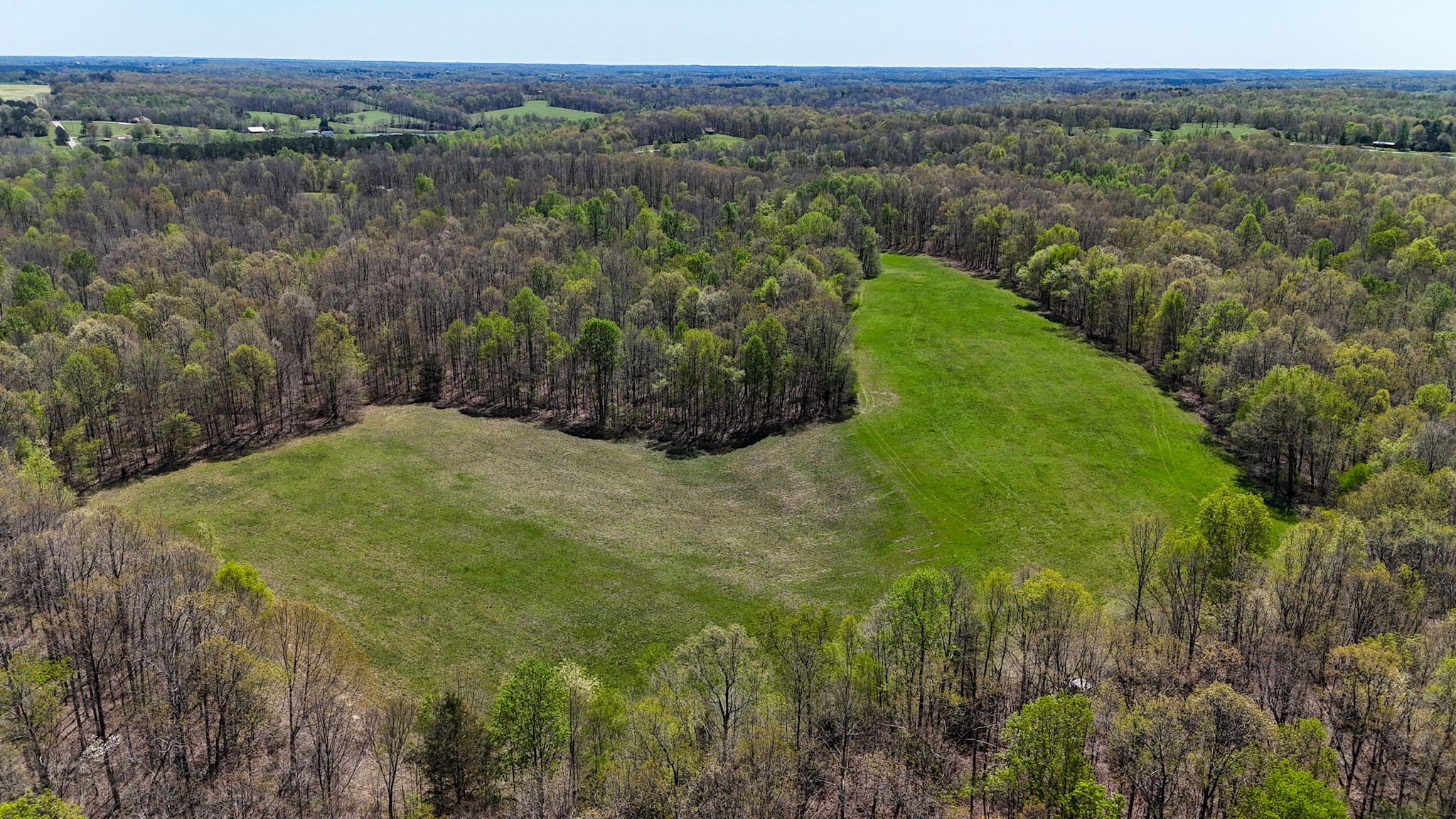 3850 Grandaddy Rd Property Photo 16
