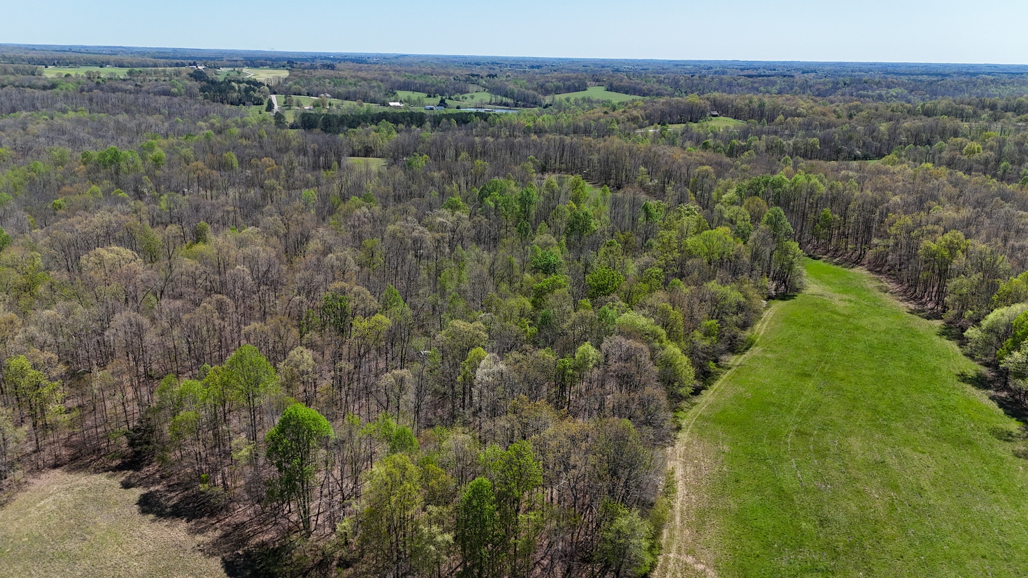 3850 Grandaddy Rd Property Photo 19