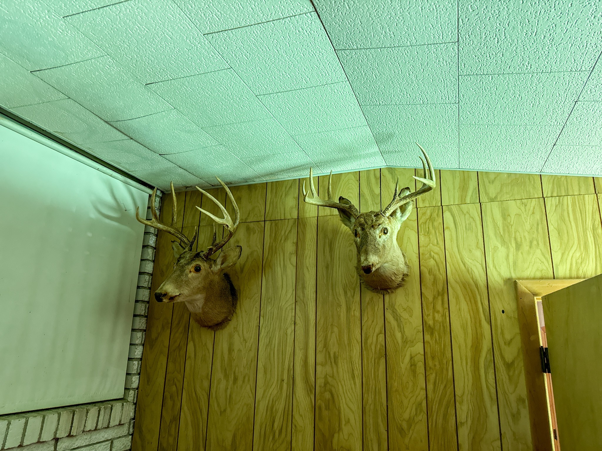 3850 Grandaddy Rd Property Photo 38