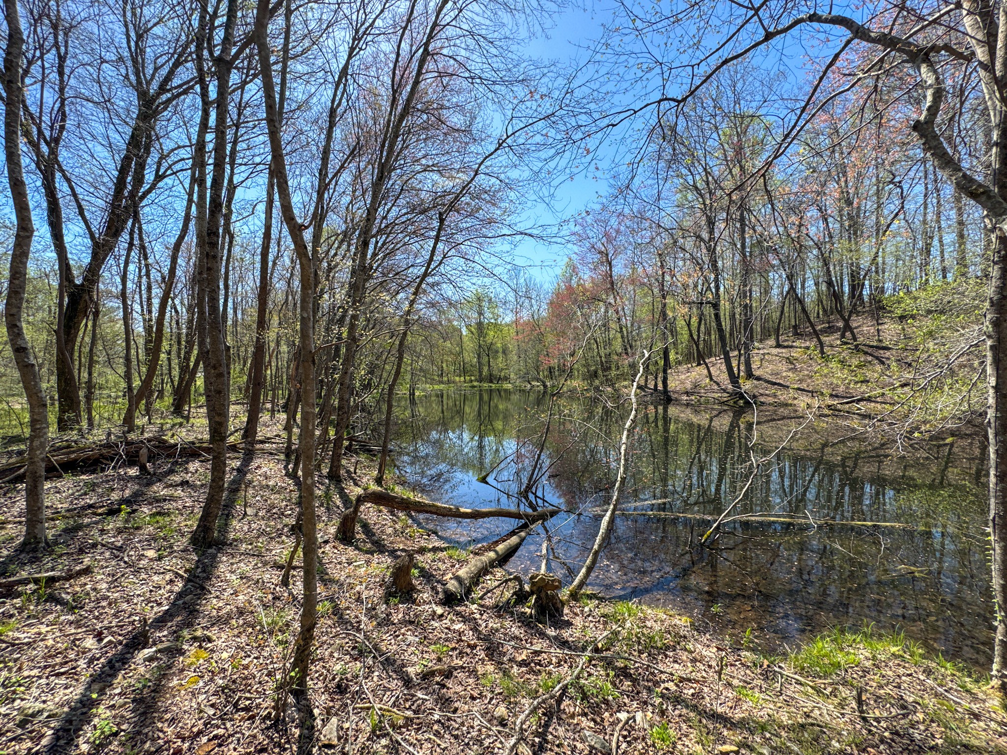 3850 Grandaddy Rd Property Photo 42