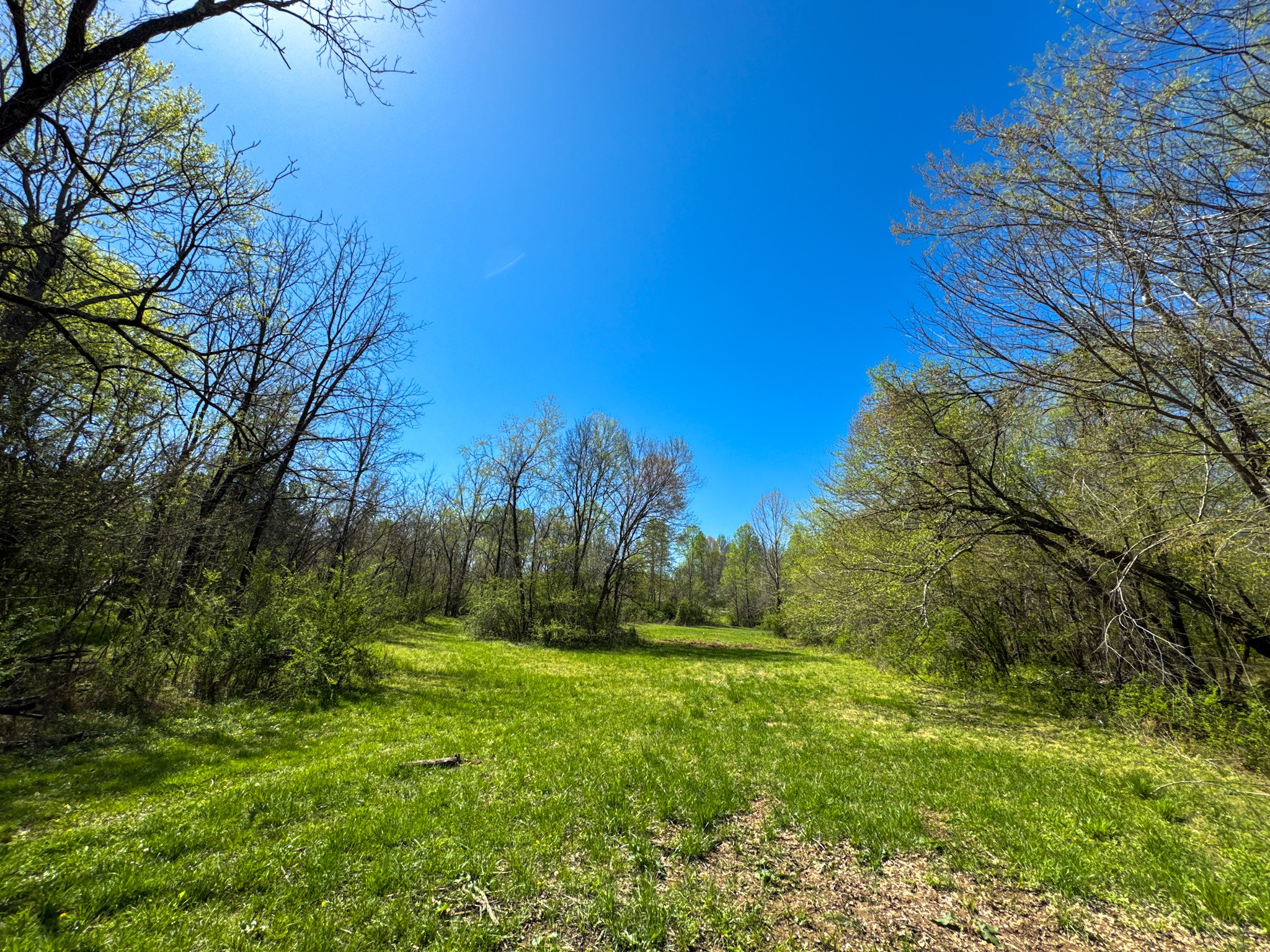 3850 Grandaddy Rd Property Photo 45