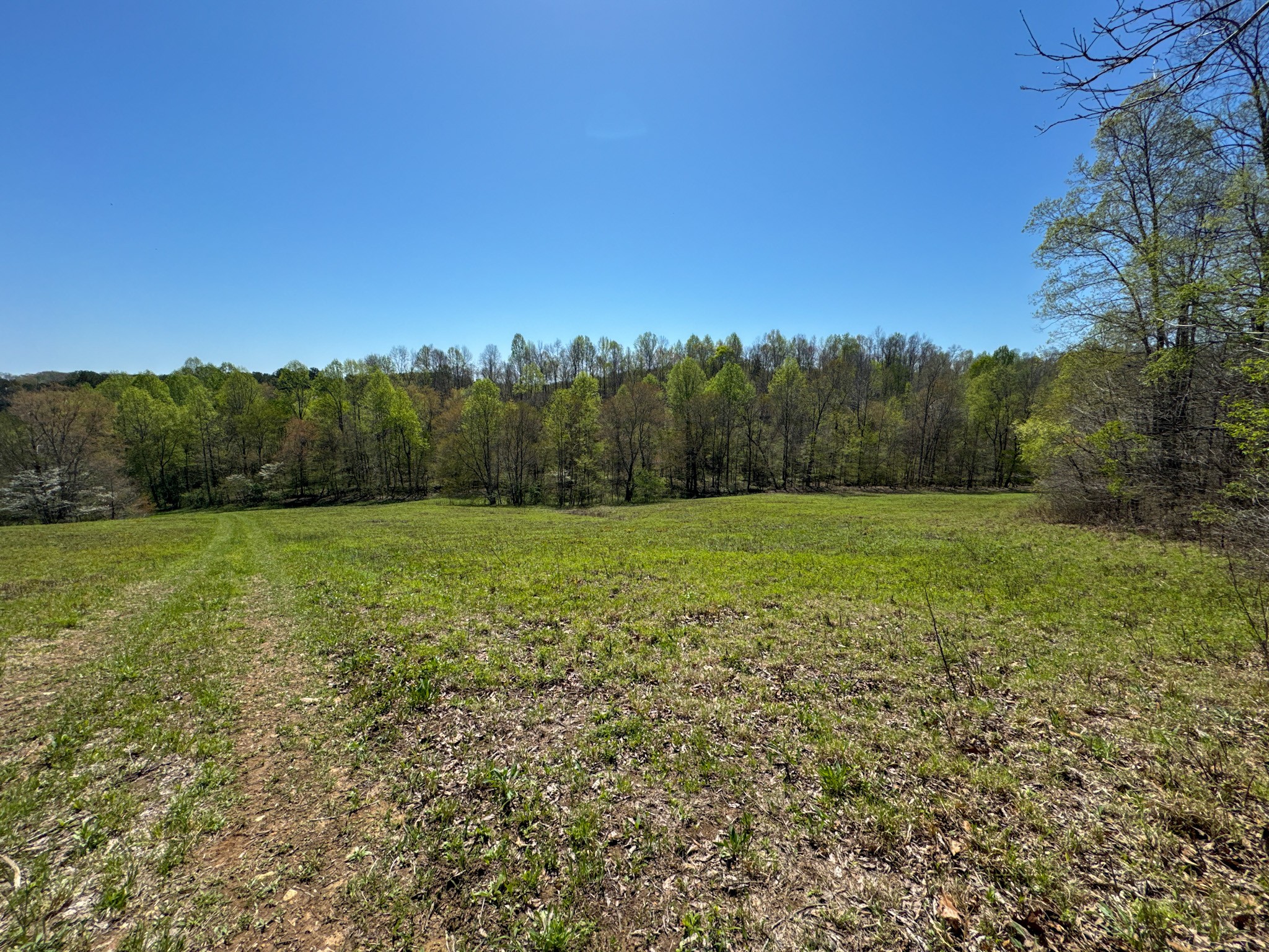 3850 Grandaddy Rd Property Photo 47
