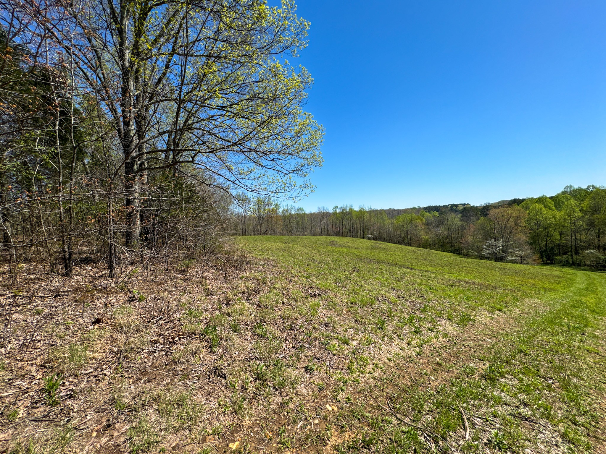 3850 Grandaddy Rd Property Photo 48