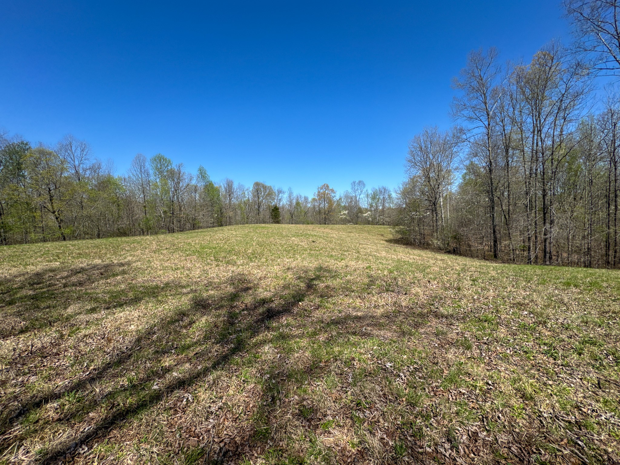 3850 Grandaddy Rd Property Photo 49