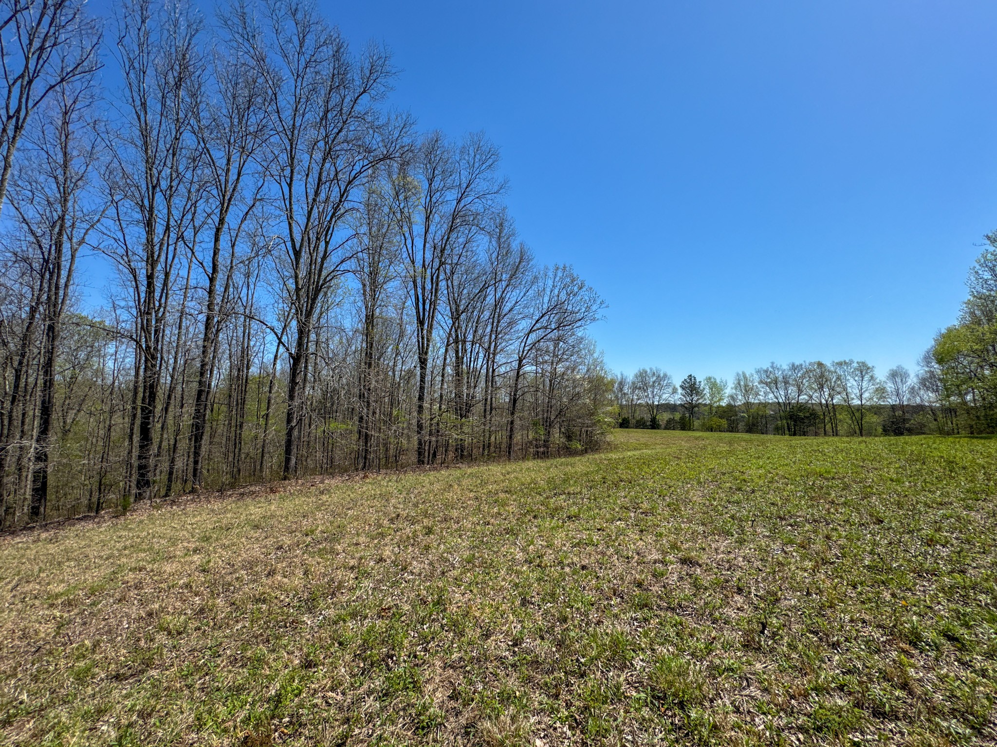 3850 Grandaddy Rd Property Photo 50