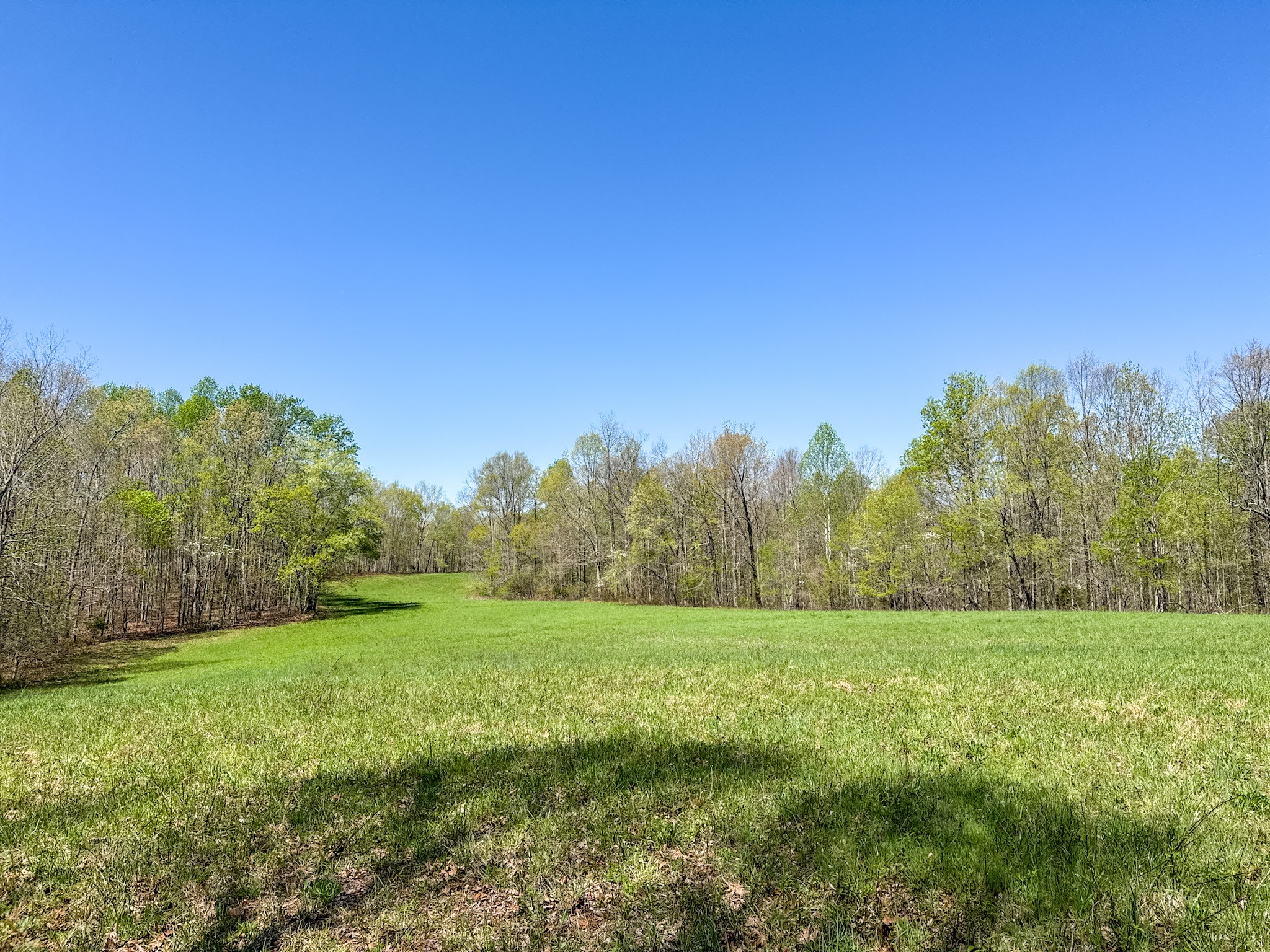 3850 Grandaddy Rd Property Photo 52