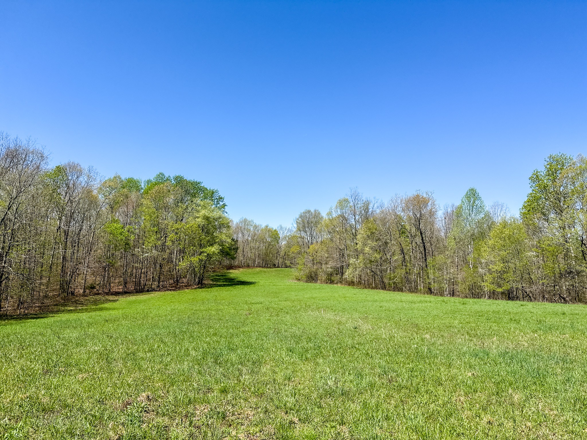 3850 Grandaddy Rd Property Photo 53