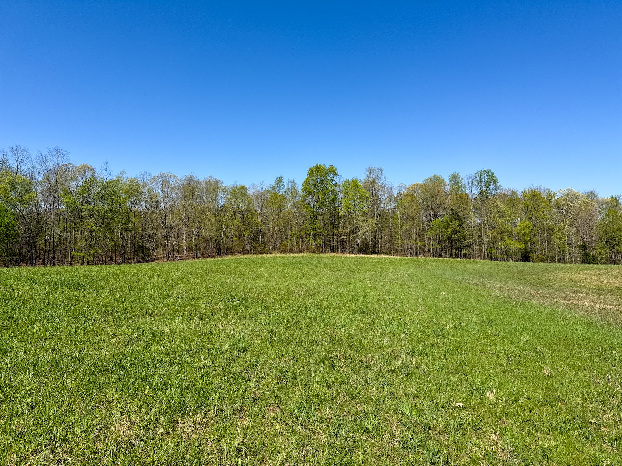 3850 Grandaddy Rd Property Photo 56