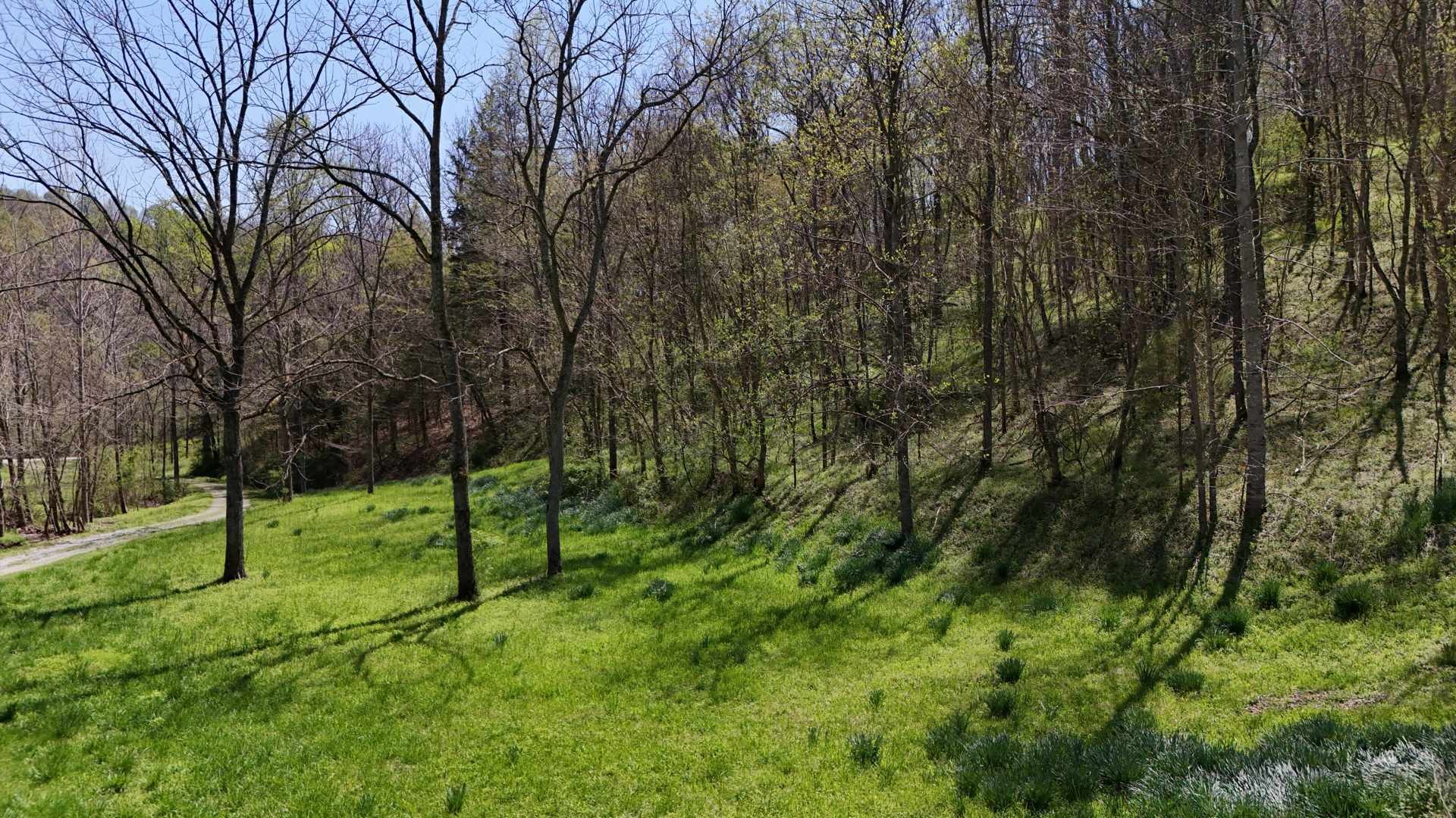 147 Big Creek Rd Property Photo 3