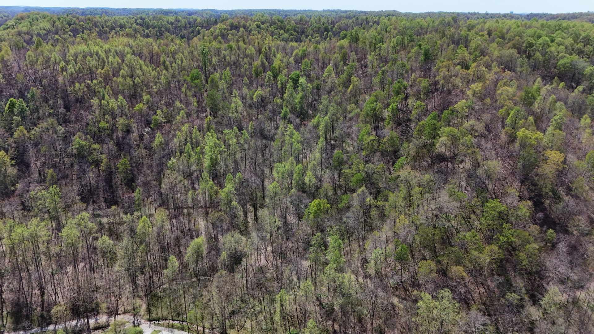 147 Big Creek Rd Property Photo 13