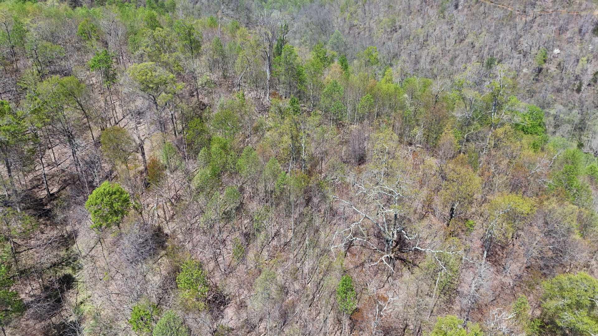 147 Big Creek Rd Property Photo 15