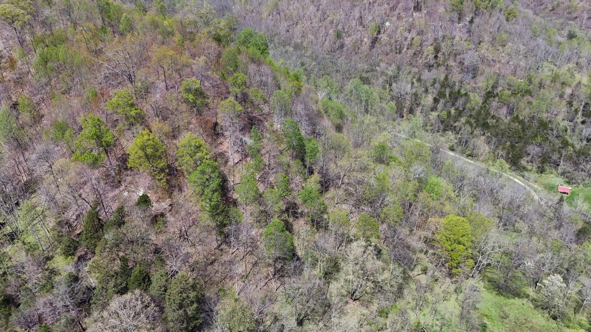 147 Big Creek Rd Property Photo 16
