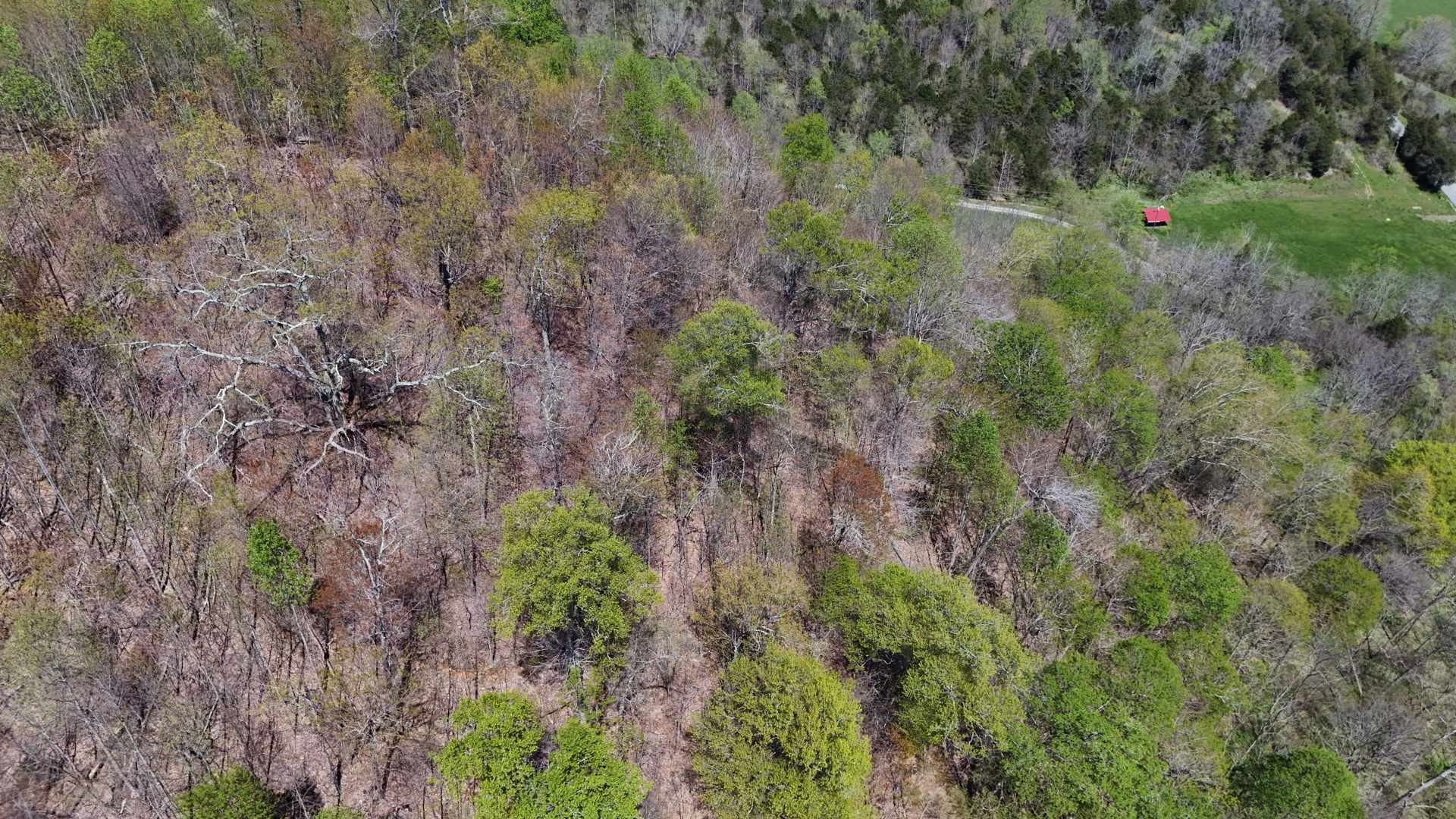 147 Big Creek Rd Property Photo 19